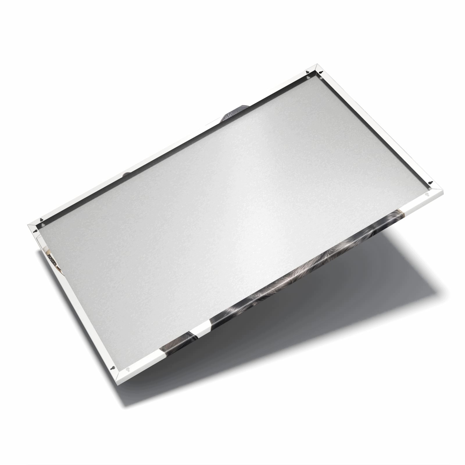Magnetická tabule – obraz na zeď Pes v brýlích | 60 × 40 cm