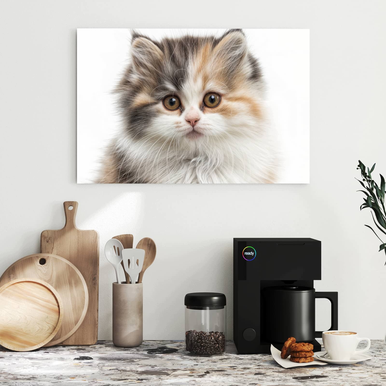 Magnetická tabule – obraz na zeď Chlupatá kočka | 60 × 40 cm