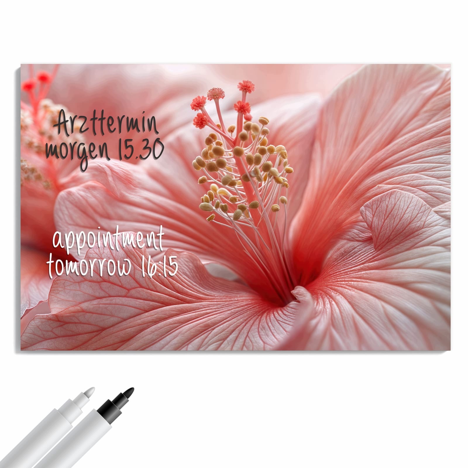Magnetická tabule – obraz na zeď Plameňák ráj | 90 × 60 cm