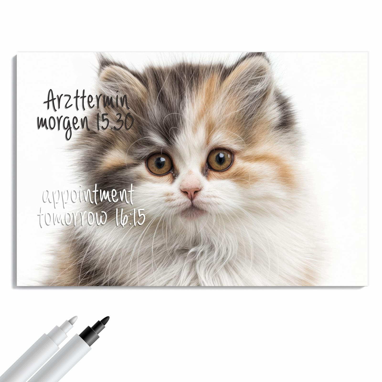 Magnetická tabule – obraz na zeď Chlupatá kočka | 90 × 60 cm