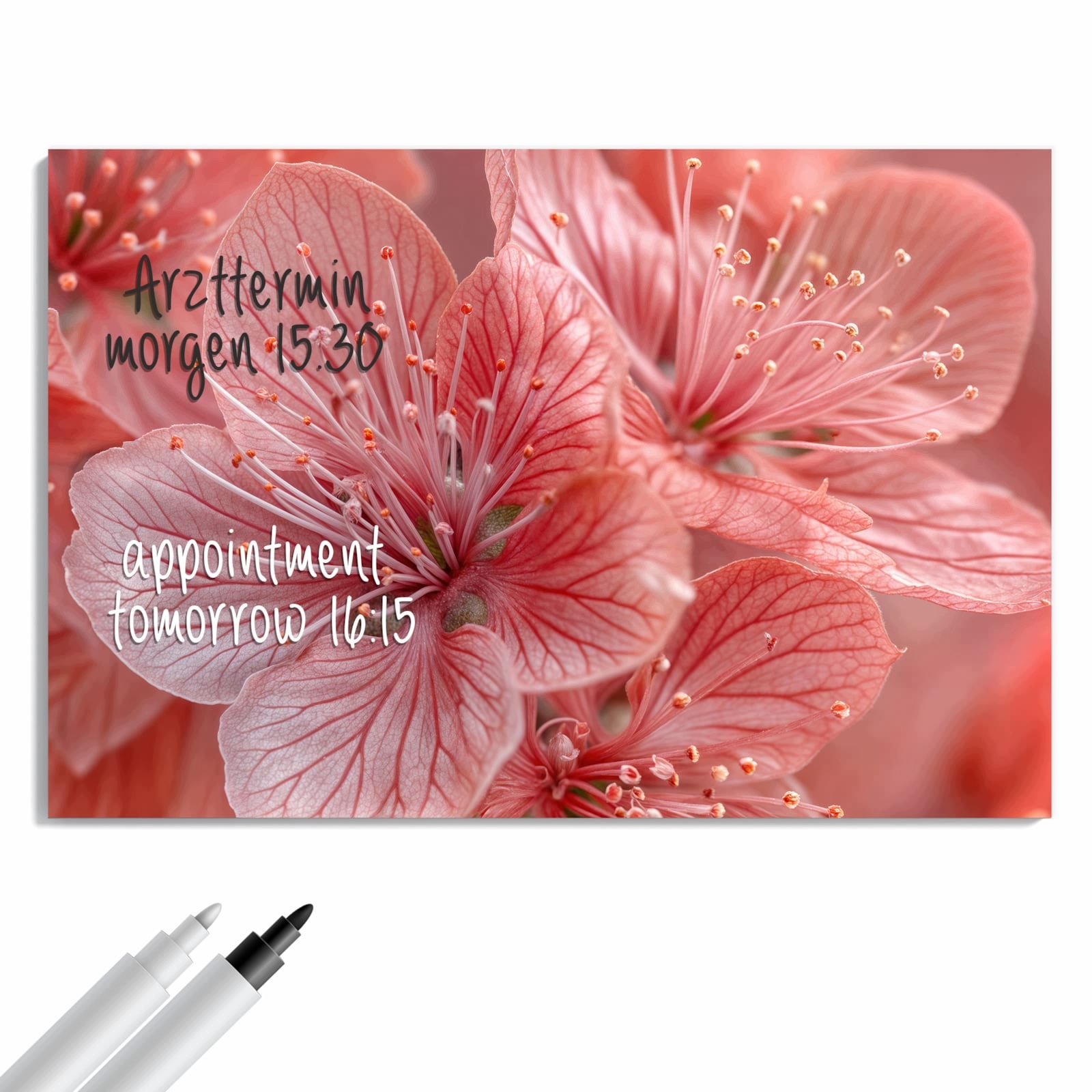Magnetická tabule – obraz na zeď Půllitr do piva | 60 × 40 cm
