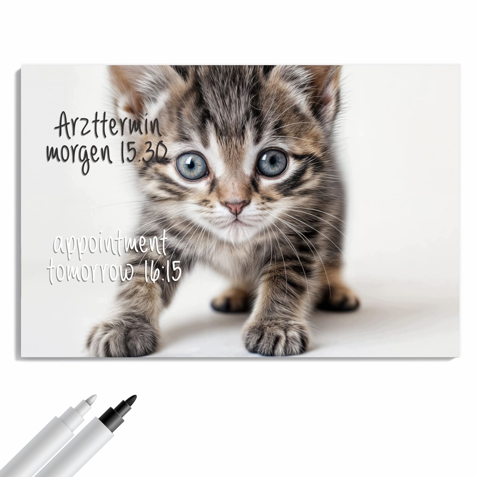 Magnetická tabule – obraz na zeď Citrusové ovoce na dřevě | 60 × 40 cm