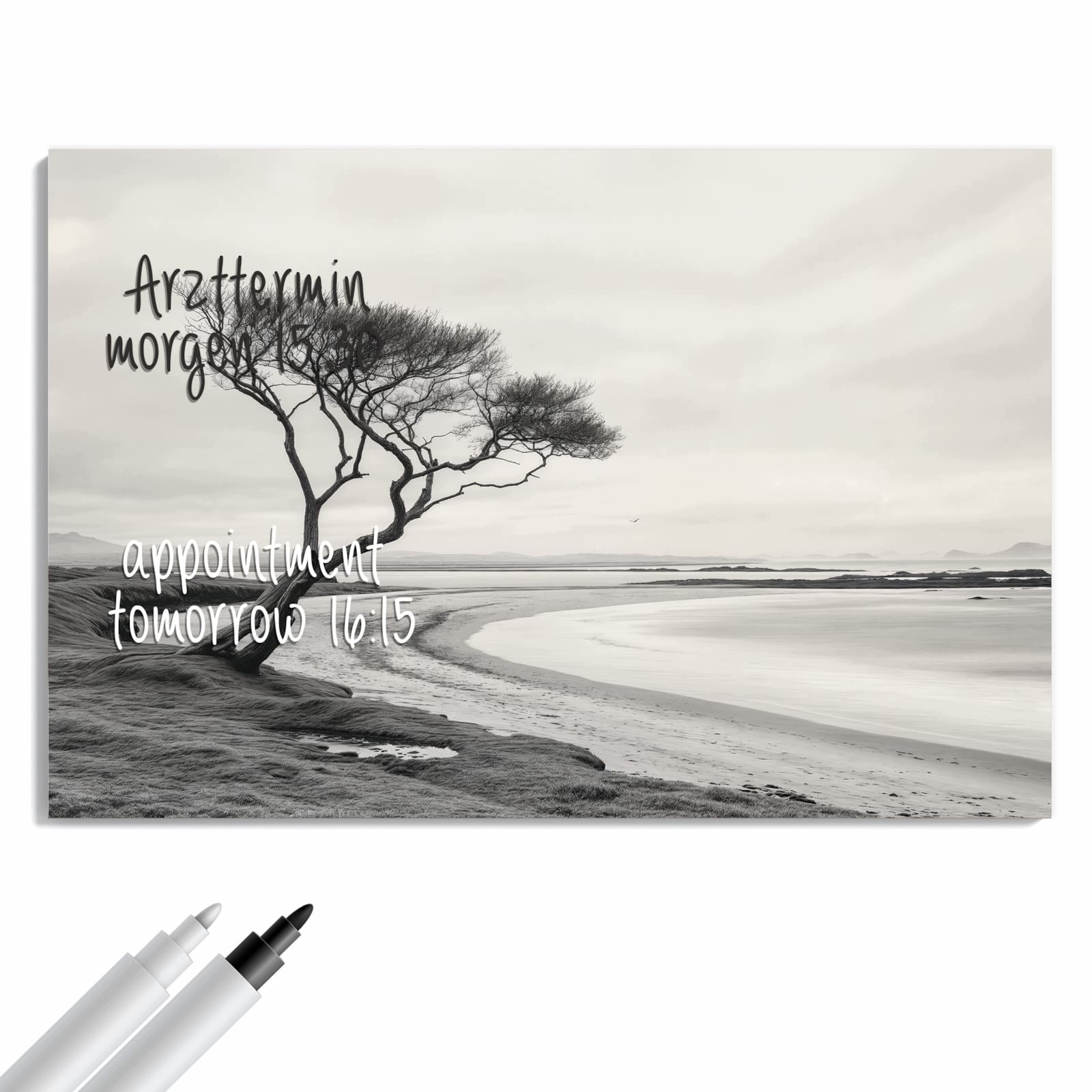 Magnetická tabule – obraz na zeď Různé koření | 60 × 40 cm