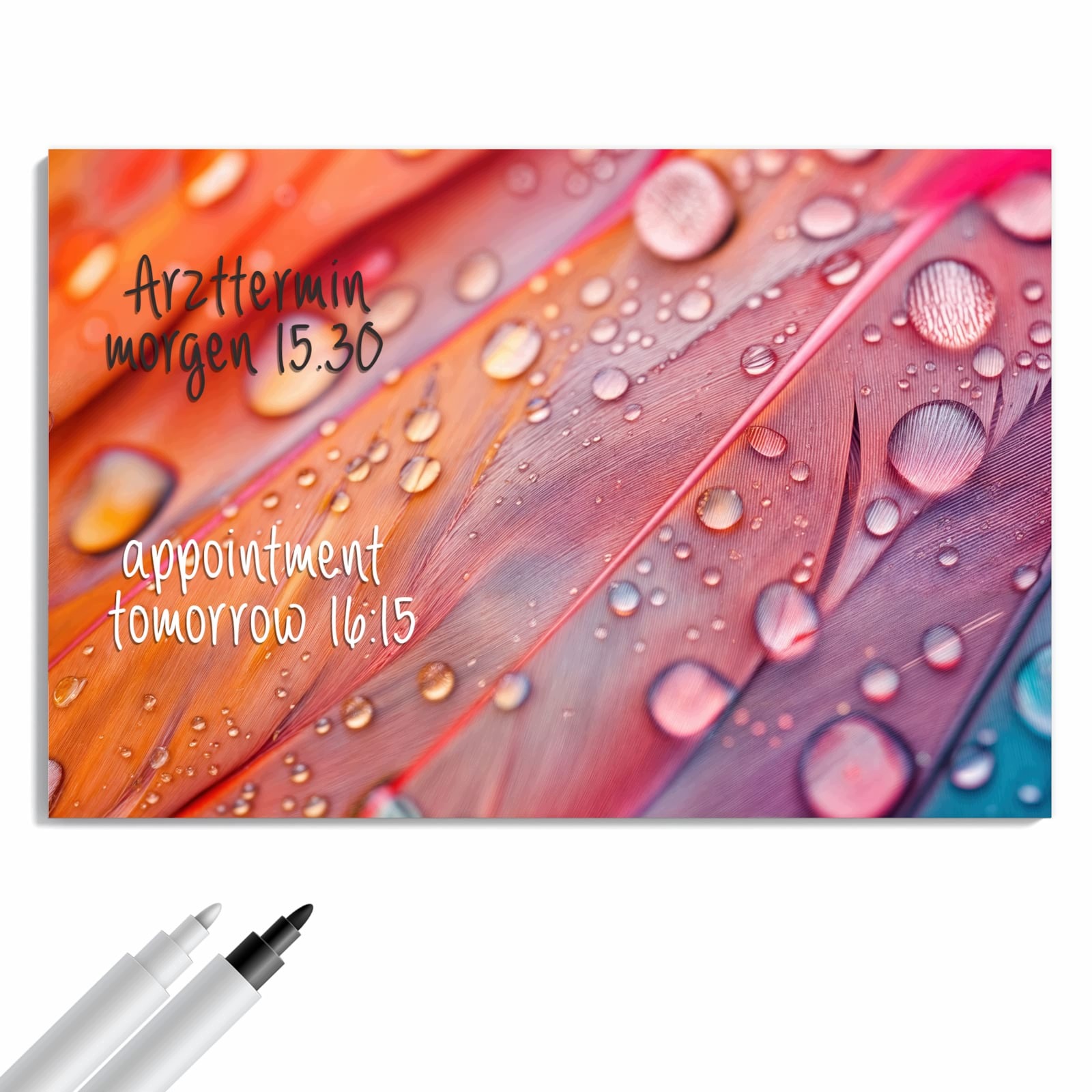 Magnetická tabule – obraz na zeď Kapky vody peří | 90 × 60 cm