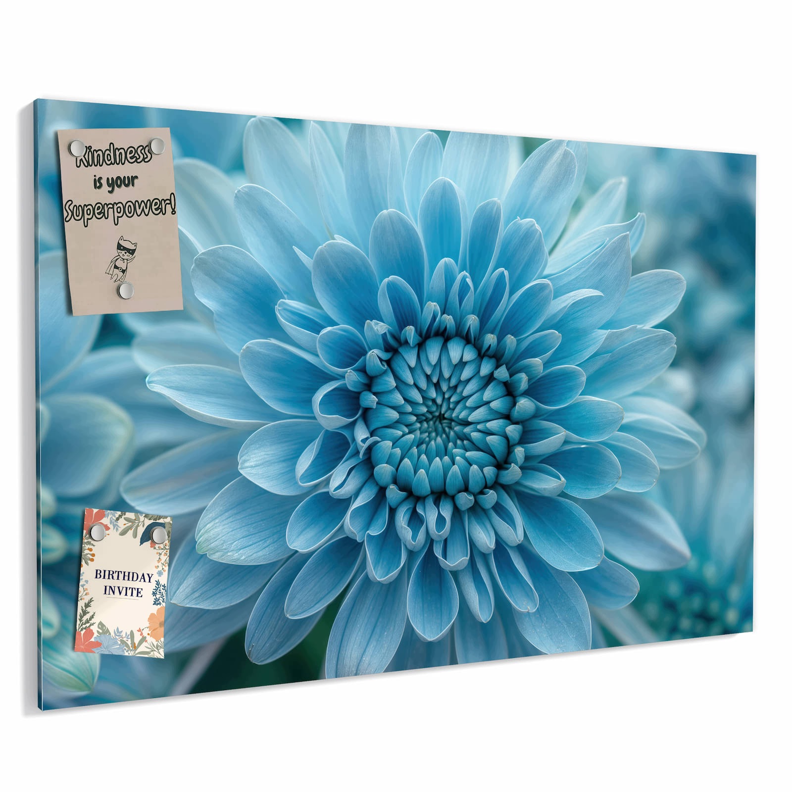 Magnetická tabule – obraz na zeď Modrá květina makro | 60 × 40 cm
