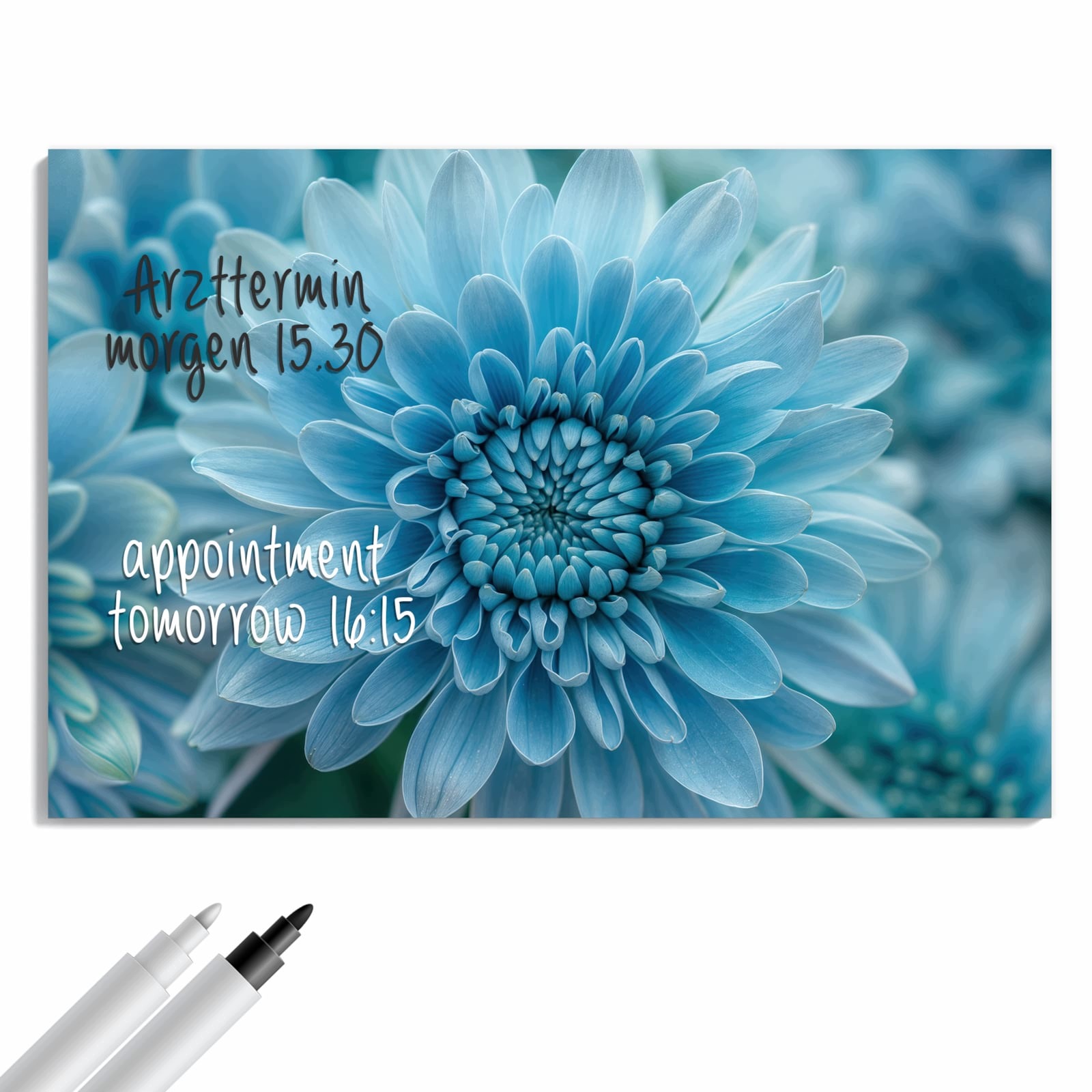 Magnetická tabule – obraz na zeď Modrá květina makro | 90 × 60 cm