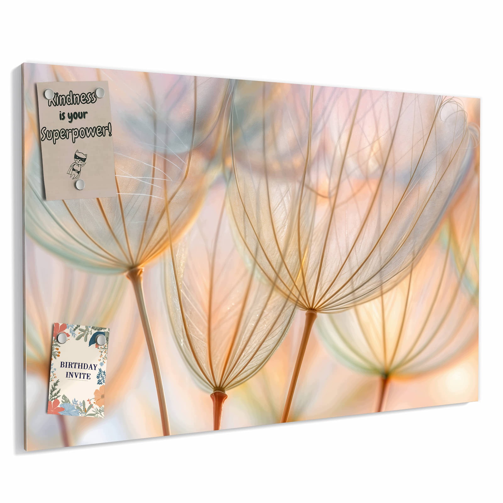 Magnetická tabule – obraz na zeď Pampelišky umění | 90 × 60 cm