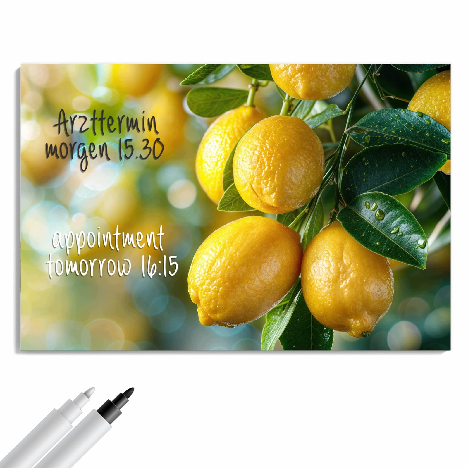 Magnetická tabule – obraz na zeď Citronový keř | 60 × 40 cm