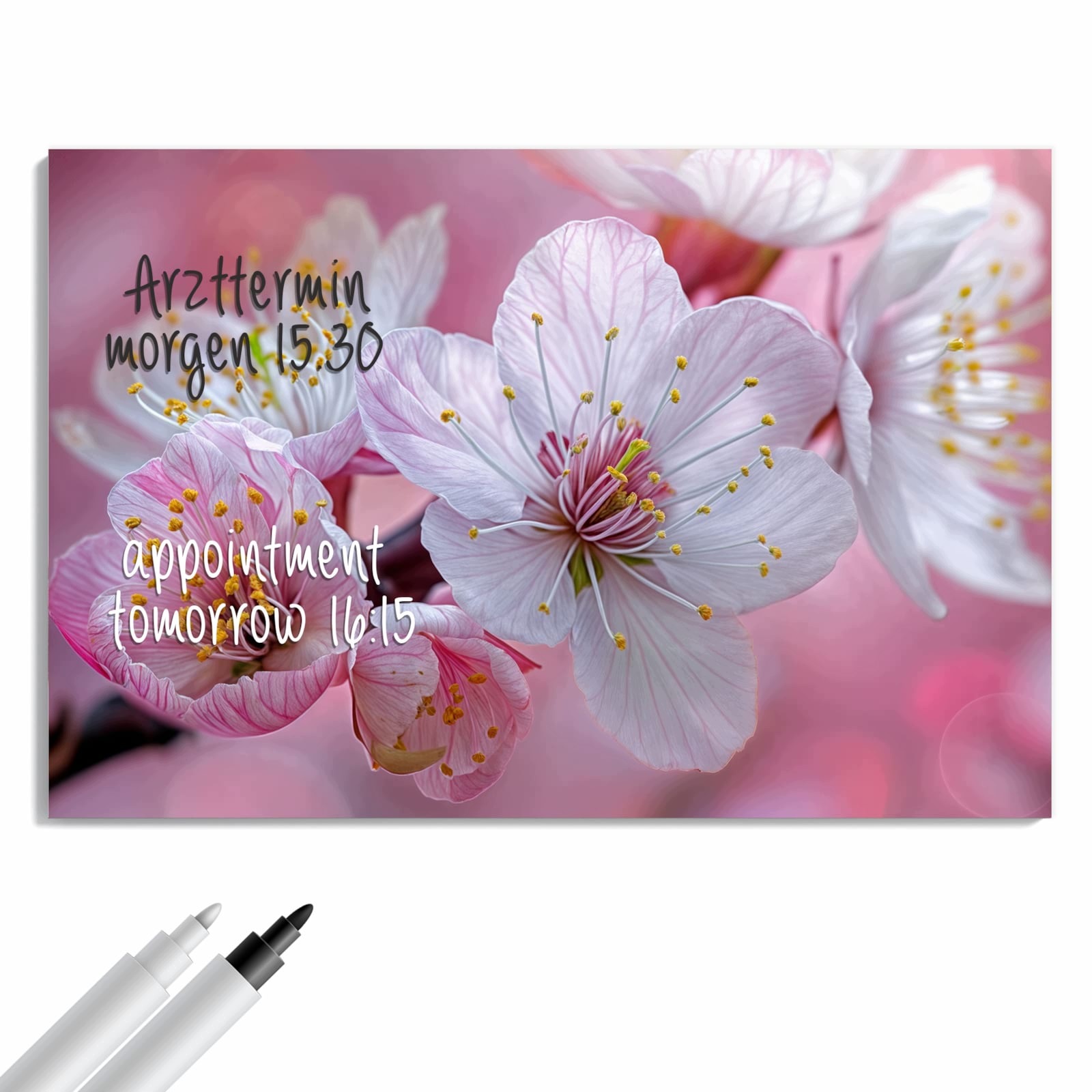 Magnetická tabule – obraz na zeď Jemné květiny třešní | 60 × 40 cm