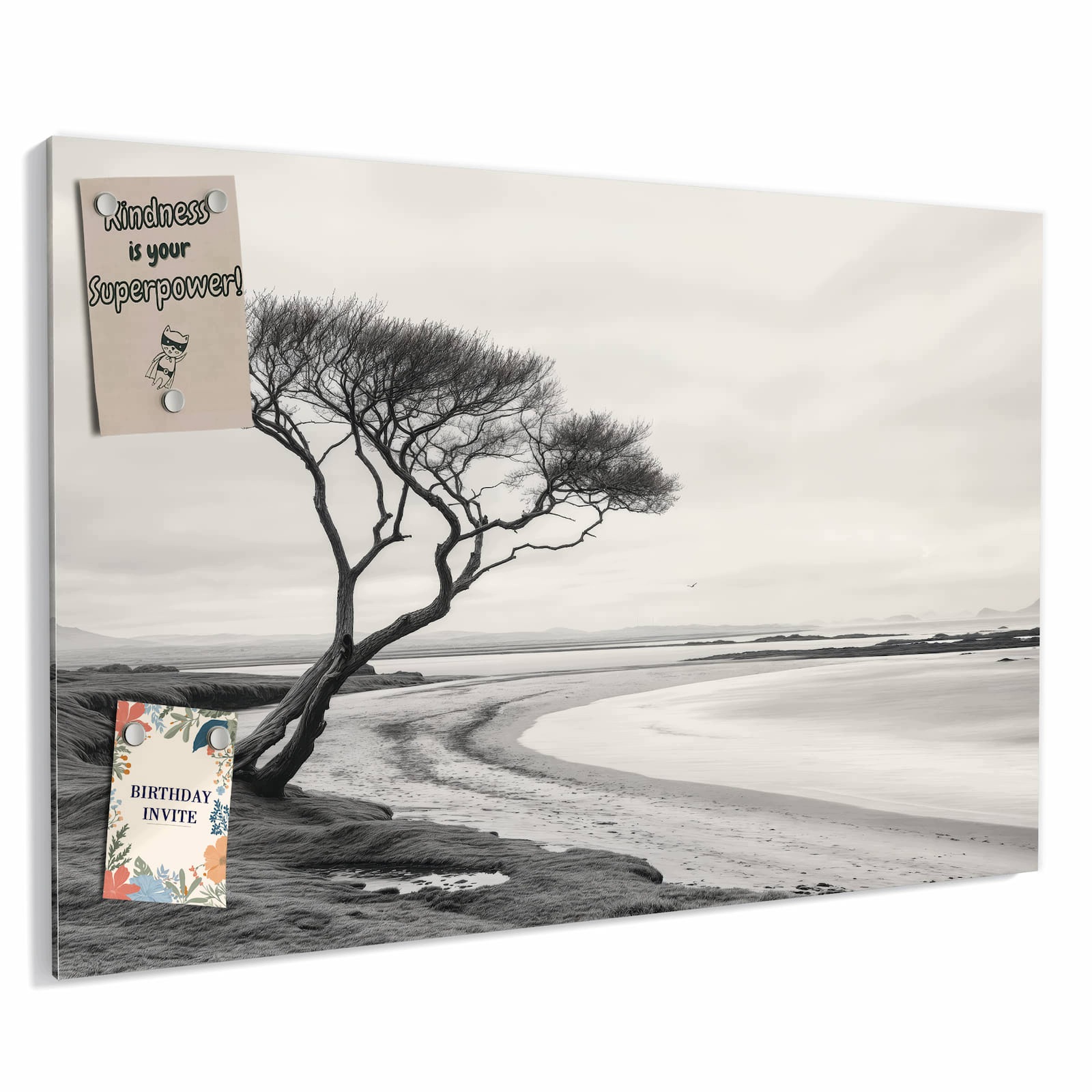 Magnetická tabule – obraz na zeď Osamělý strom moře | 60 × 40 cm