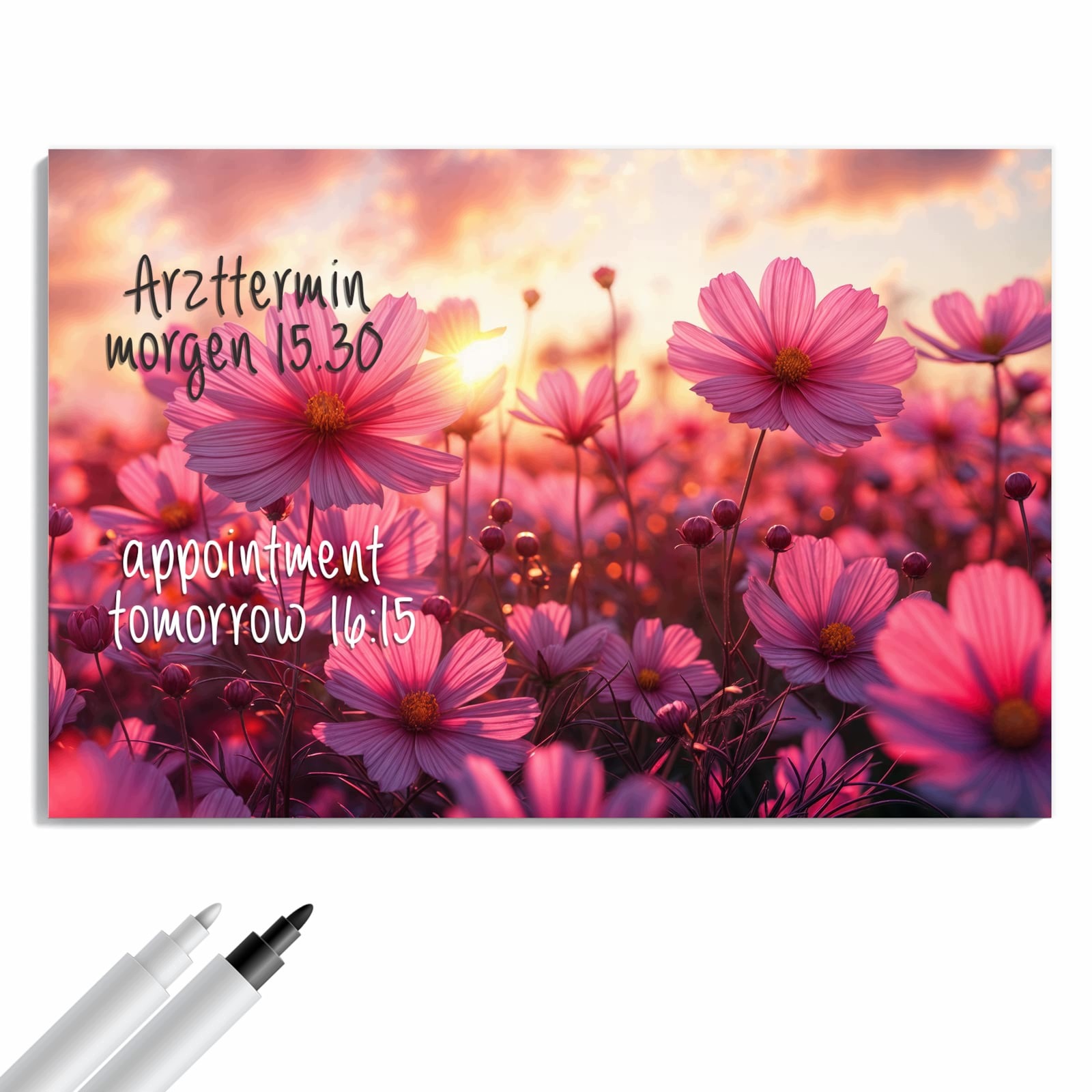 Magnetická tabule – obraz na zeď Pole květin při západu slunce | 90 × 60 cm