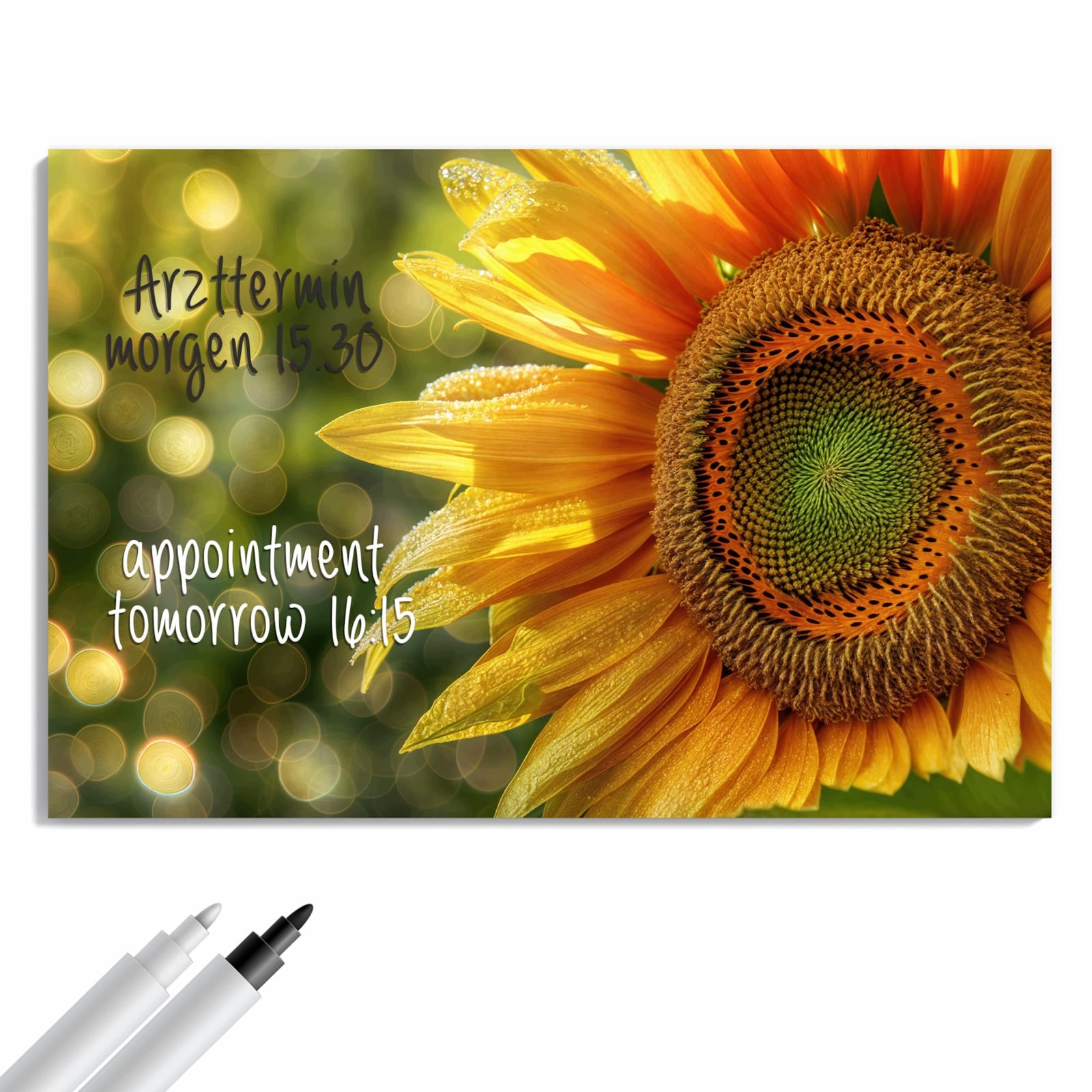 Magnetická tabule – obraz na zeď Letní grilování | 60 × 40 cm