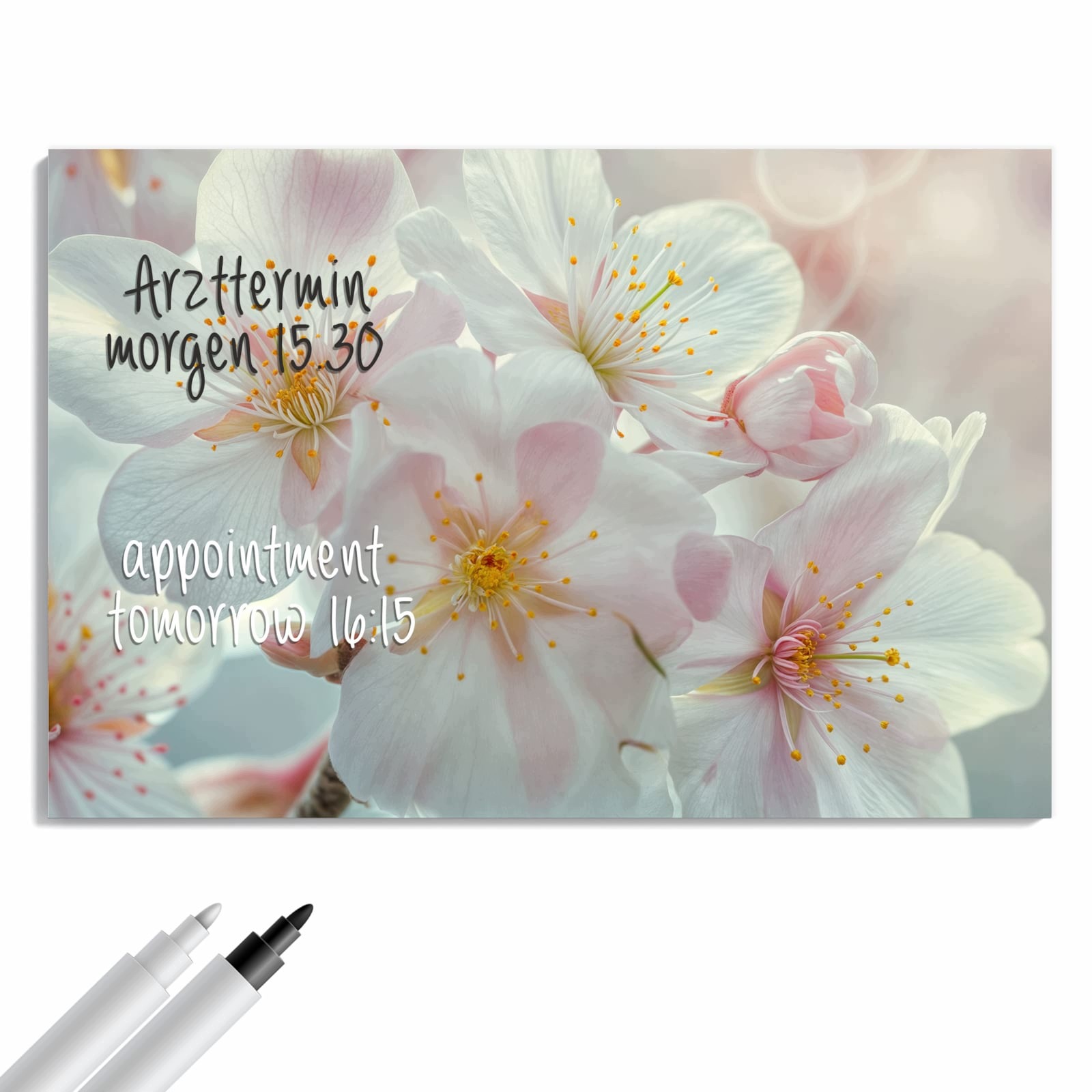 Magnetická tabule – obraz na zeď Nebeské bobule | 60 × 40 cm