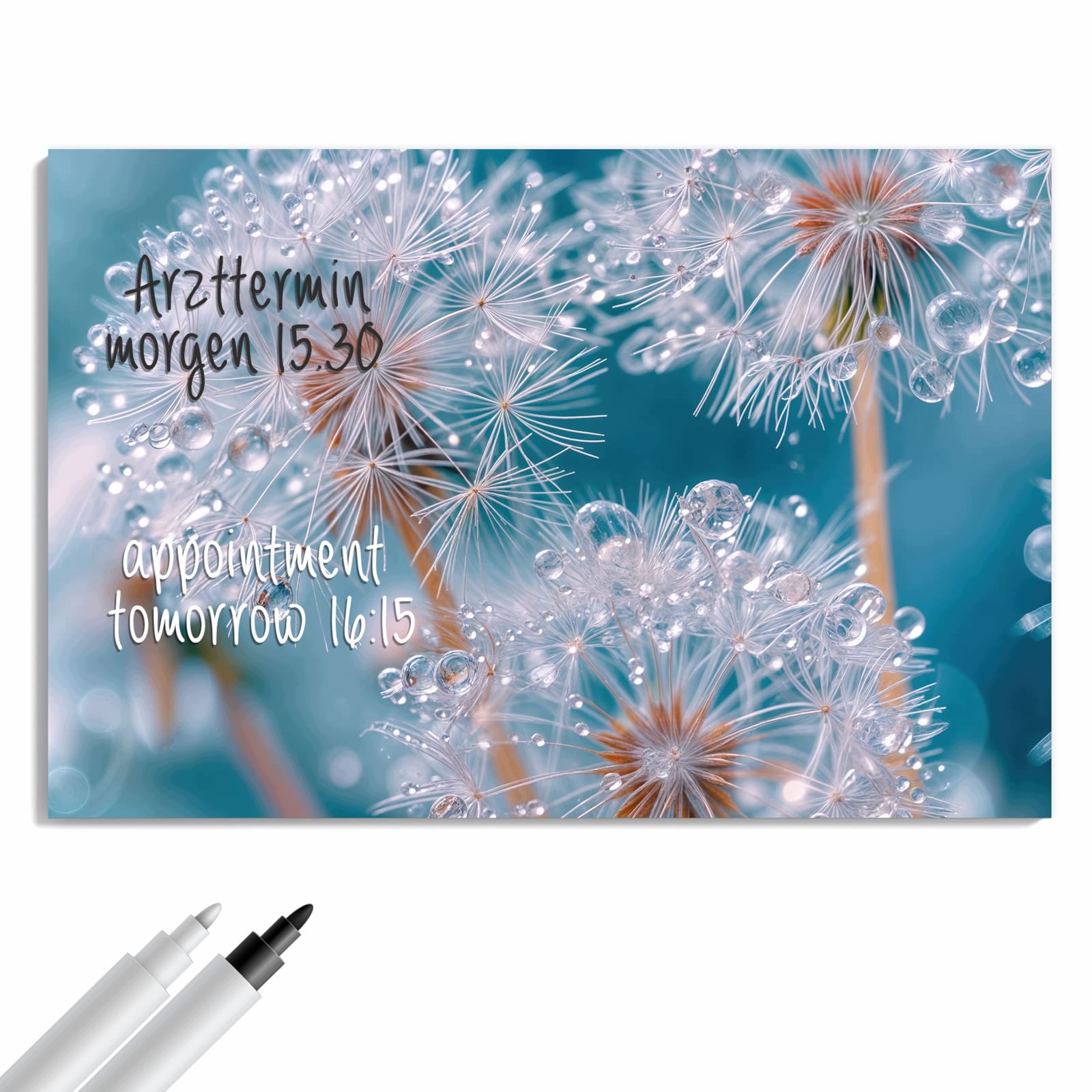 Magnetická tabule – obraz na zeď Kapky vody pampeliška | 60 × 40 cm