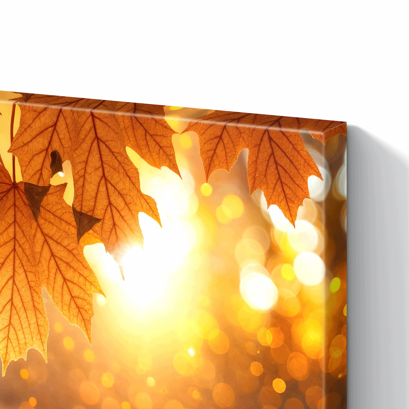 Magnetická tabule – obraz na zeď Zlaté podzimní listy | 60 × 40 cm