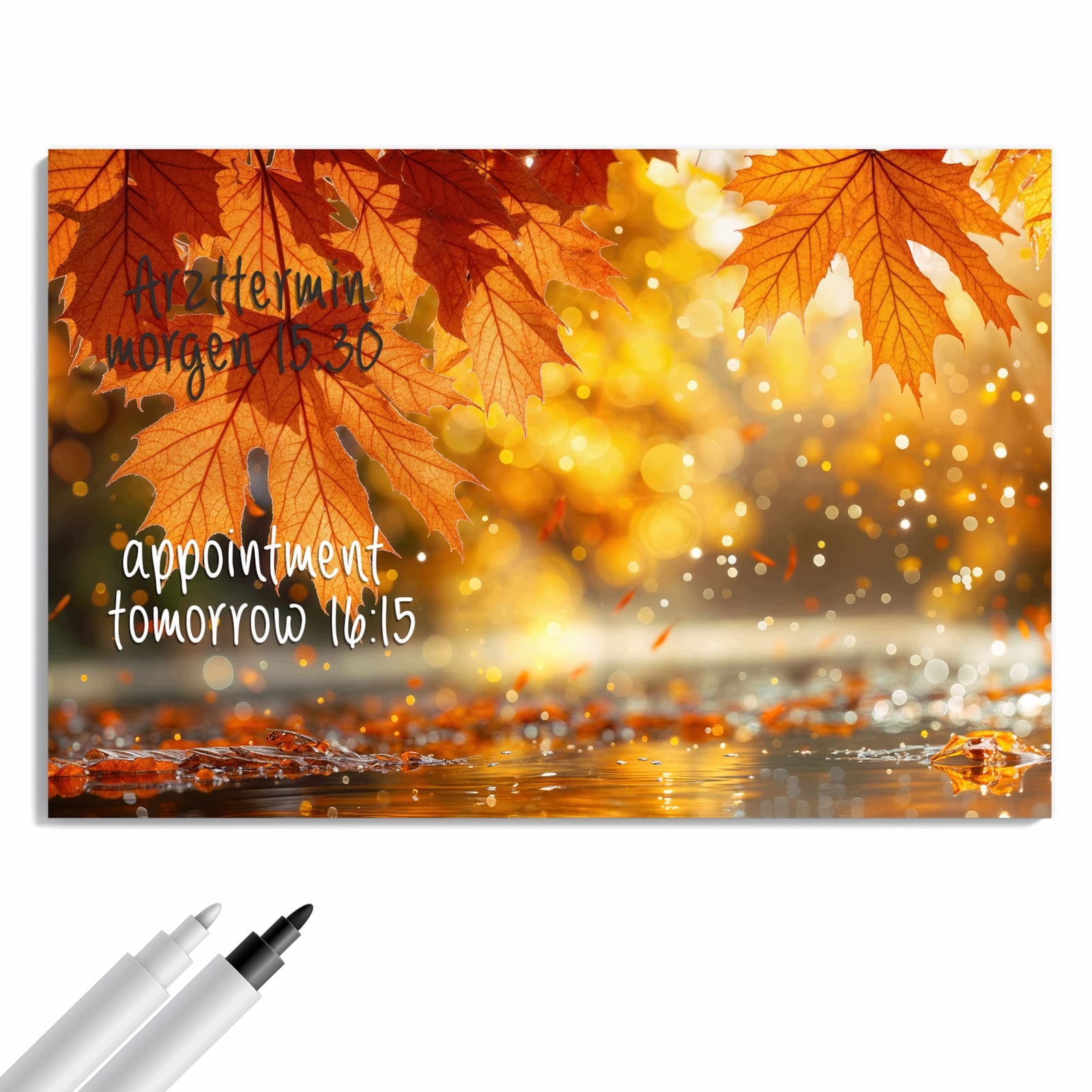 Magnetická tabule – obraz na zeď Jemné podzimní listy | 60 × 40 cm