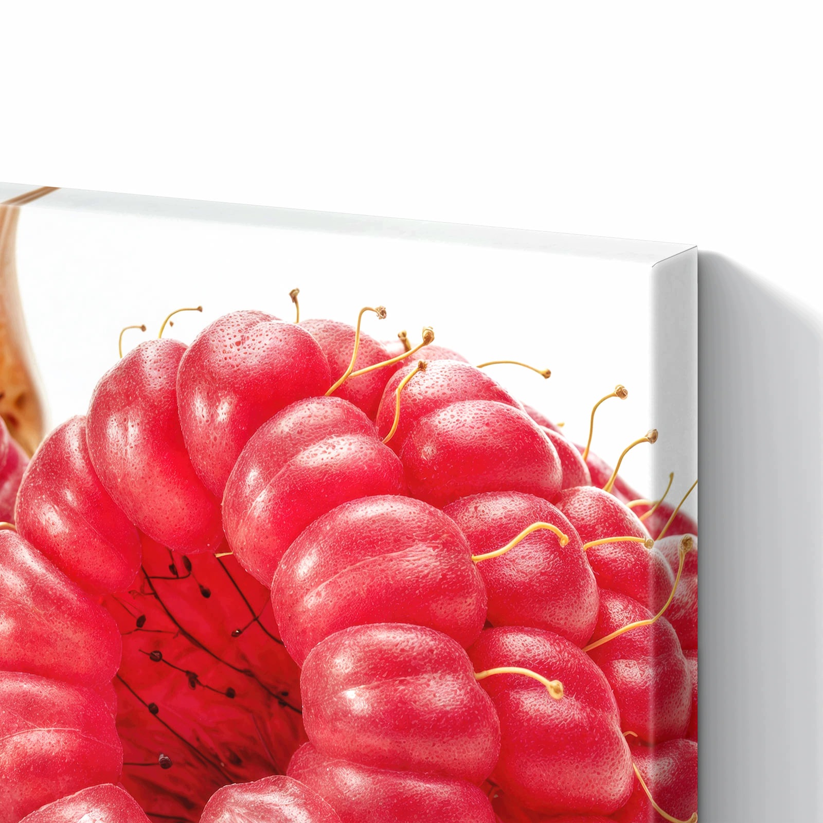 Magnetická tabule – obraz na zeď List maliny | 60 × 40 cm