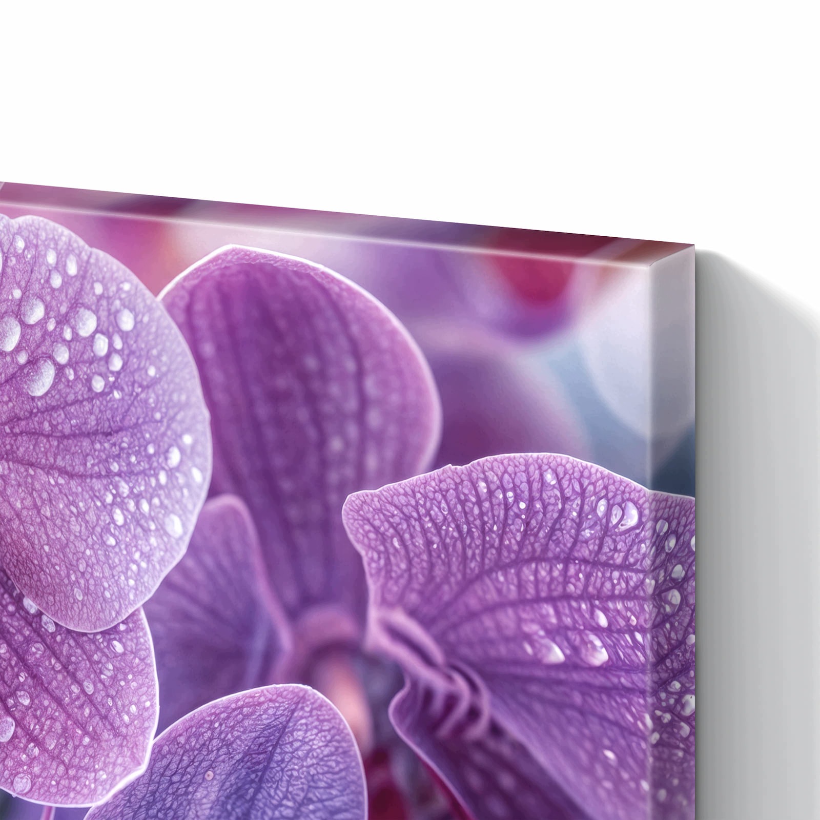 Magnetická tabule – obraz na zeď Květiny orchideje | 60 × 40 cm