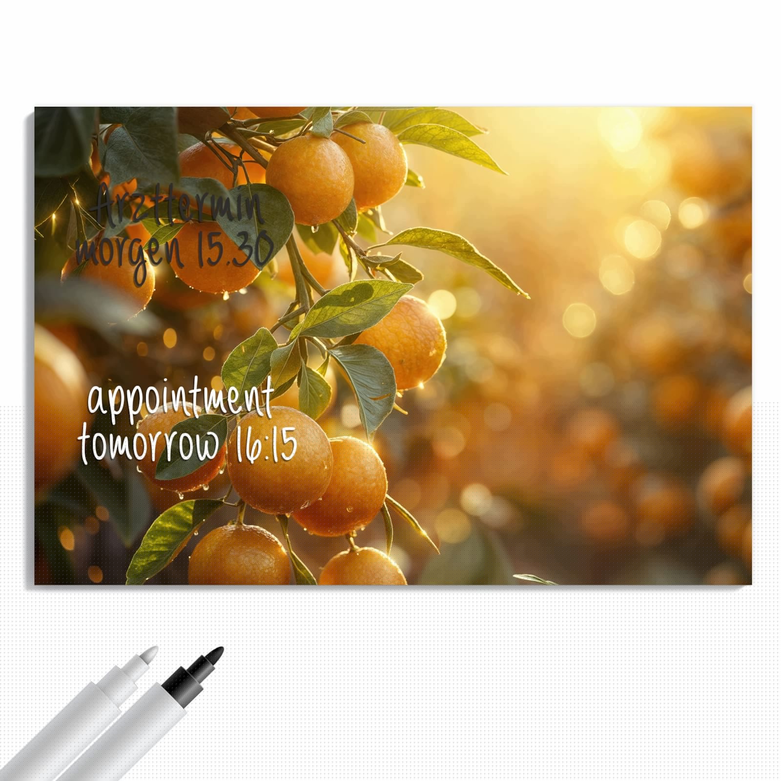 Magnetická tabule – obraz na zeď Zalité sluncem pomeranče | 60 × 40 cm