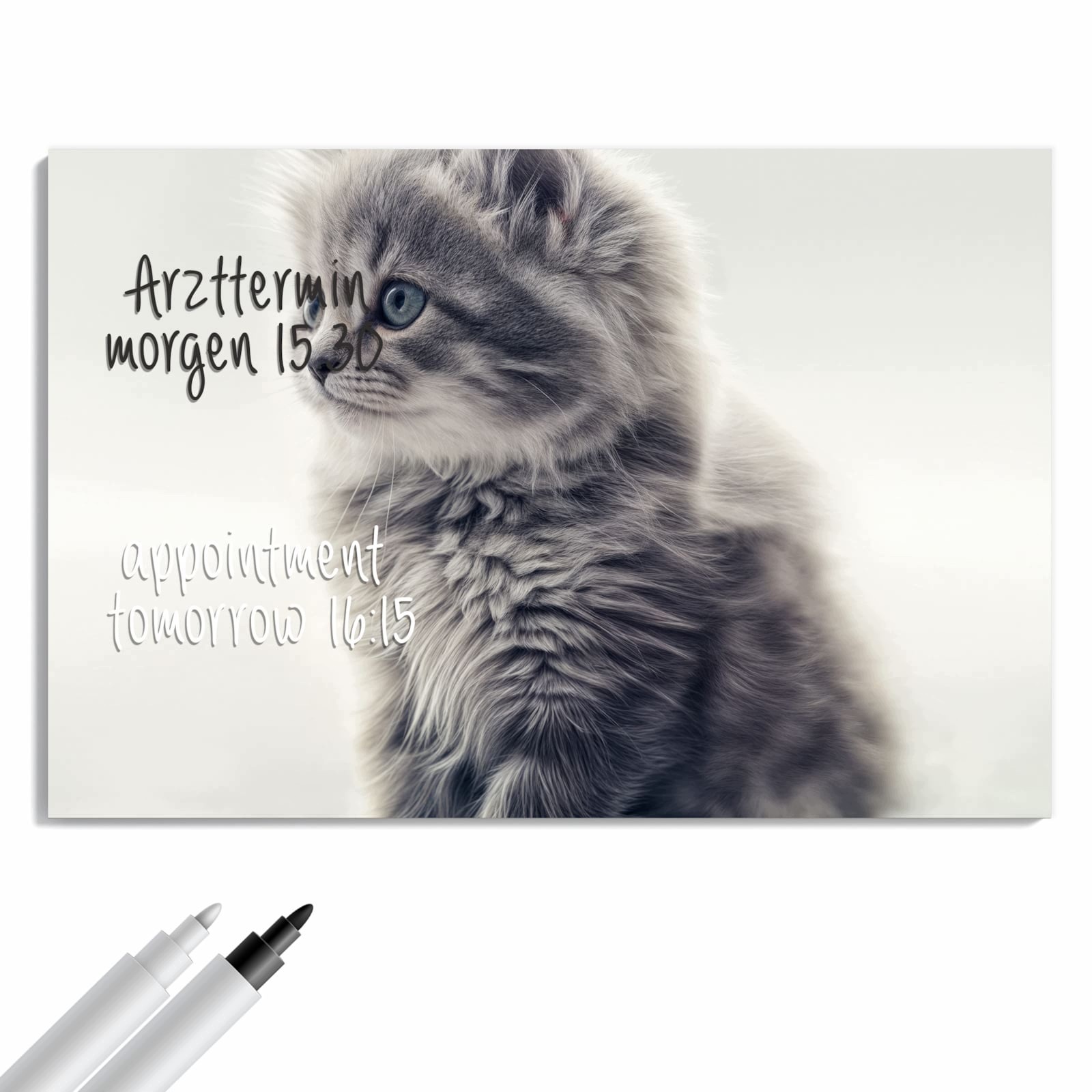 Magnetická tabule – obraz na zeď Portrét koťat | 60 × 40 cm