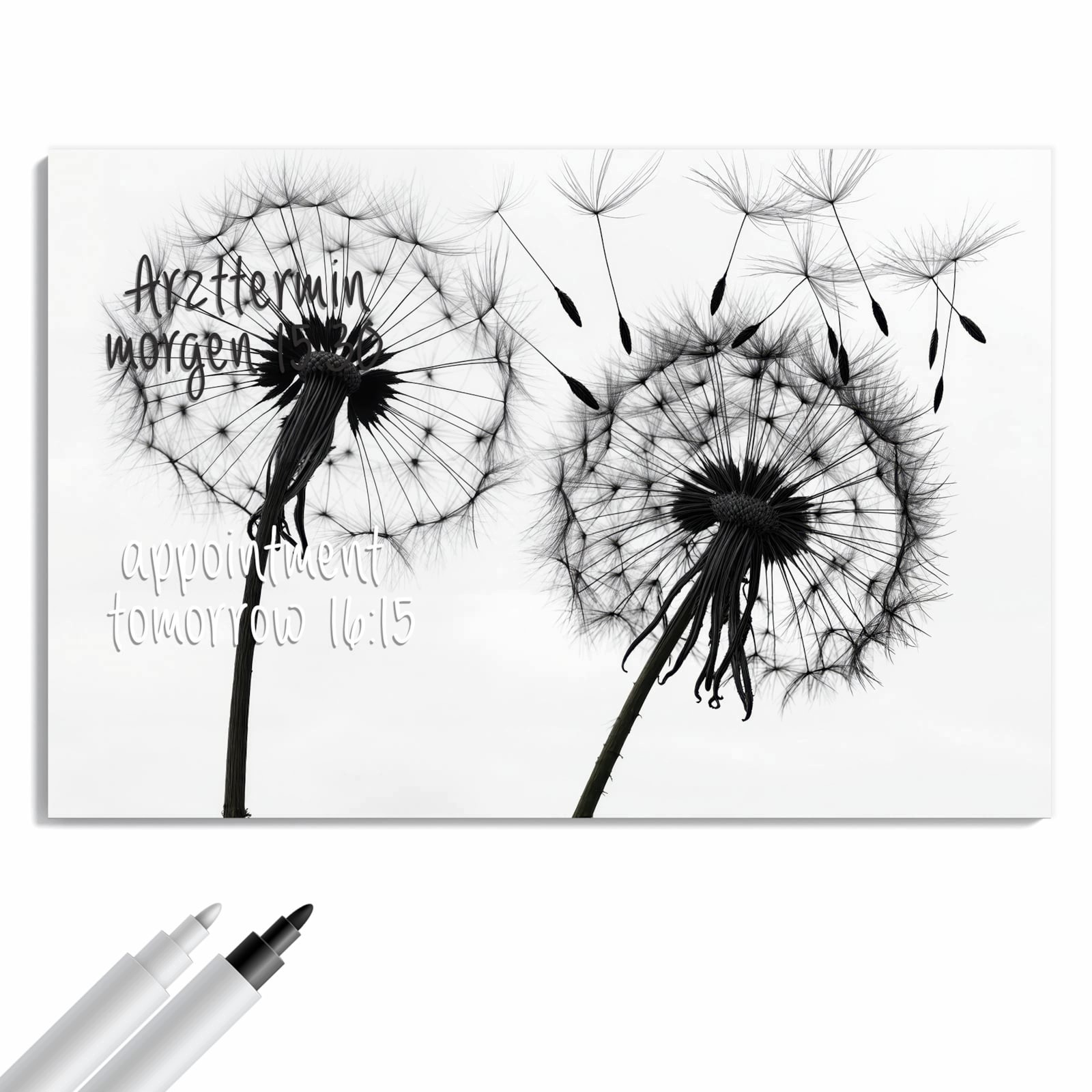 Magnetická tabule – obraz na zeď Pampelišky | 60 × 40 cm