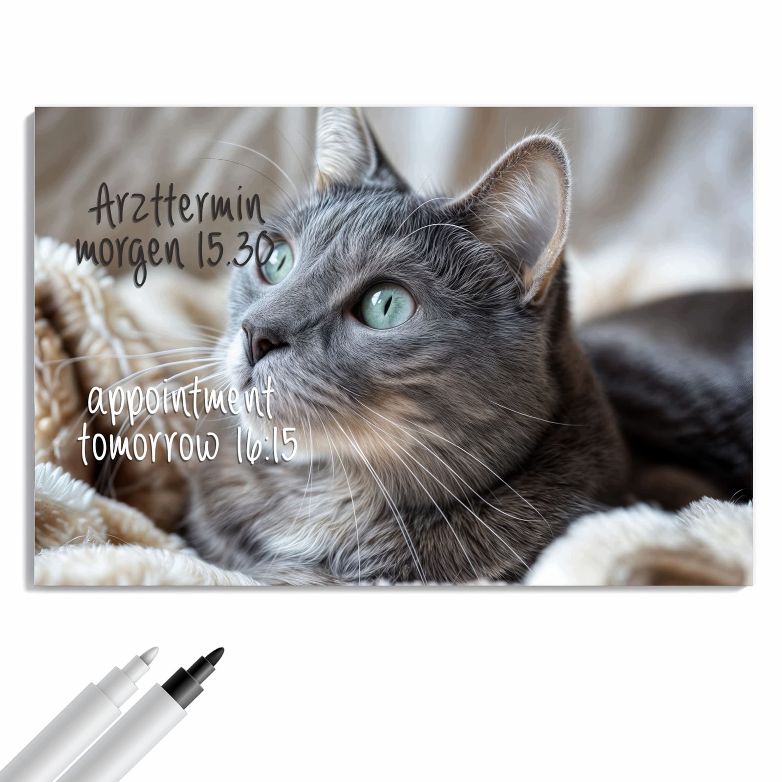 Magnetická tabule – obraz na zeď Útulná kočka – motiv 2 | 90 × 60 cm