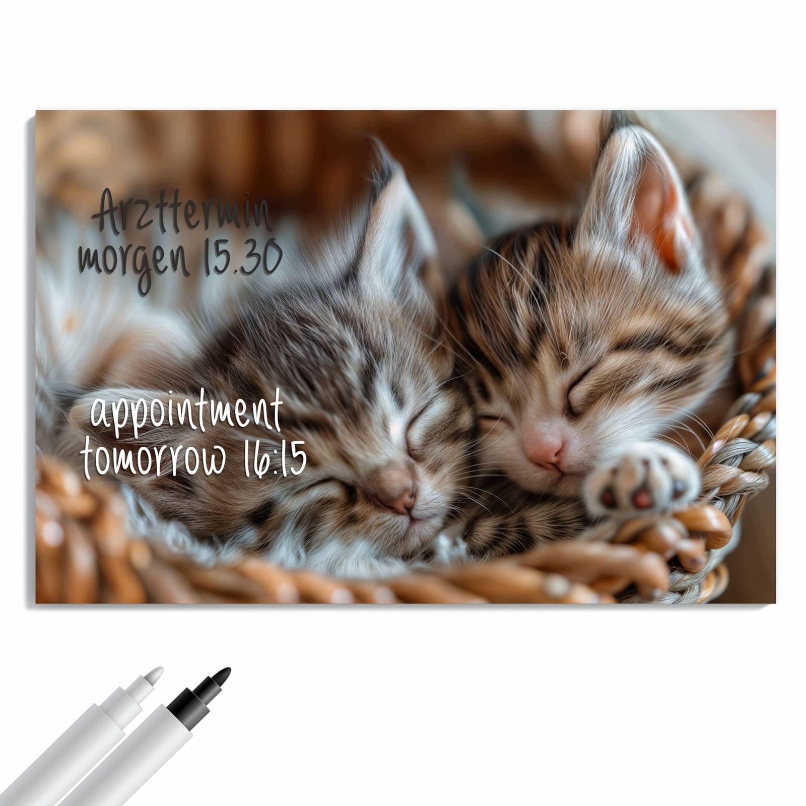 Magnetická tabule – obraz na zeď Spokojené spící koťátko | 60 × 40 cm
