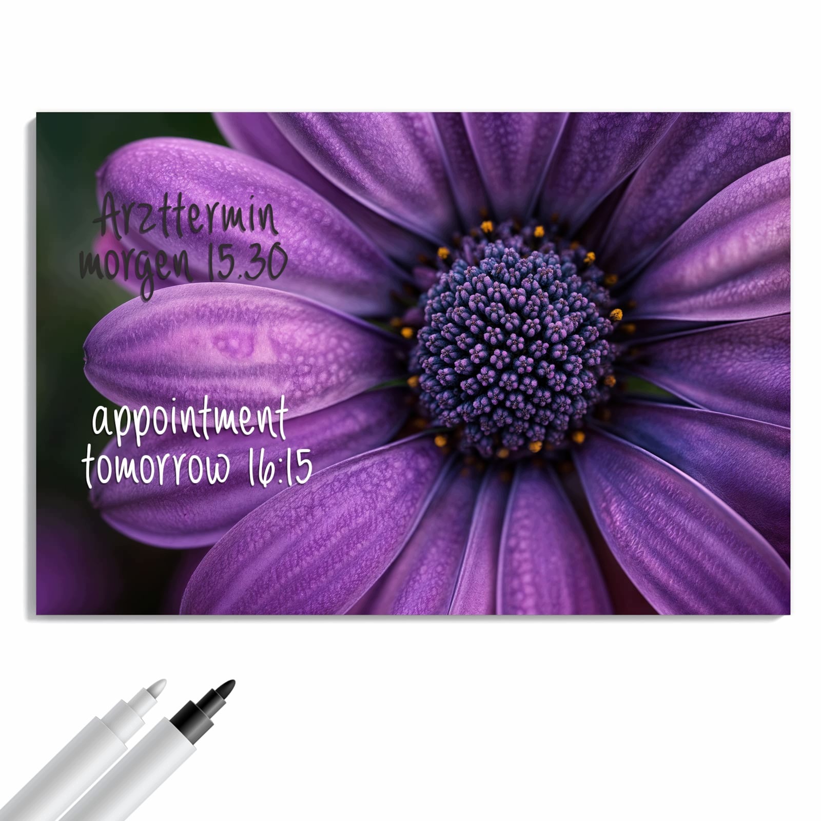 Magnetická tabule – obraz na zeď Fialový zázrak květin | 90 × 60 cm