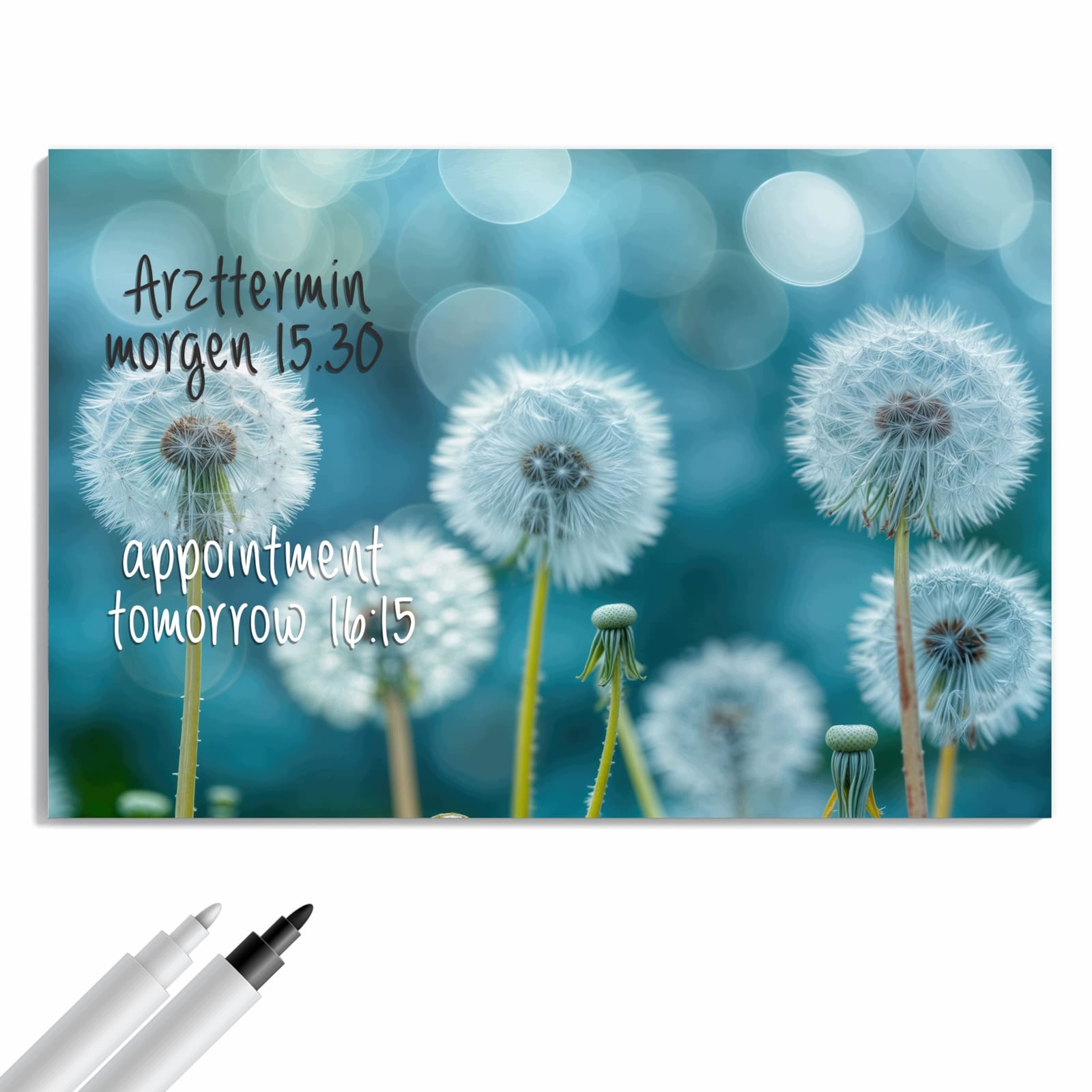 Magnetická tabule – obraz na zeď Louka s pampeliškou | 90 × 60 cm