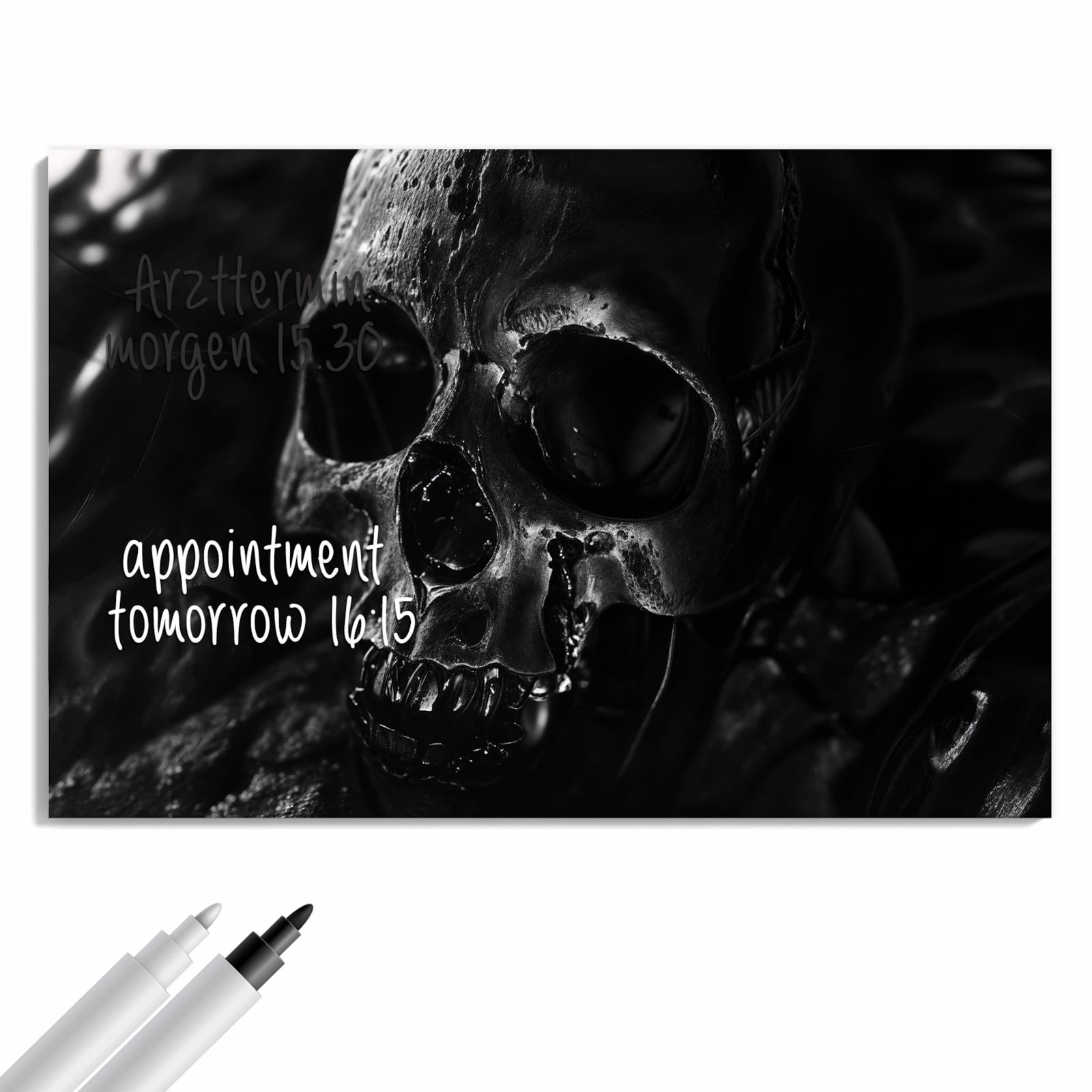 Magnetická tabule – obraz na zeď Fotografie lebky | 60 × 40 cm