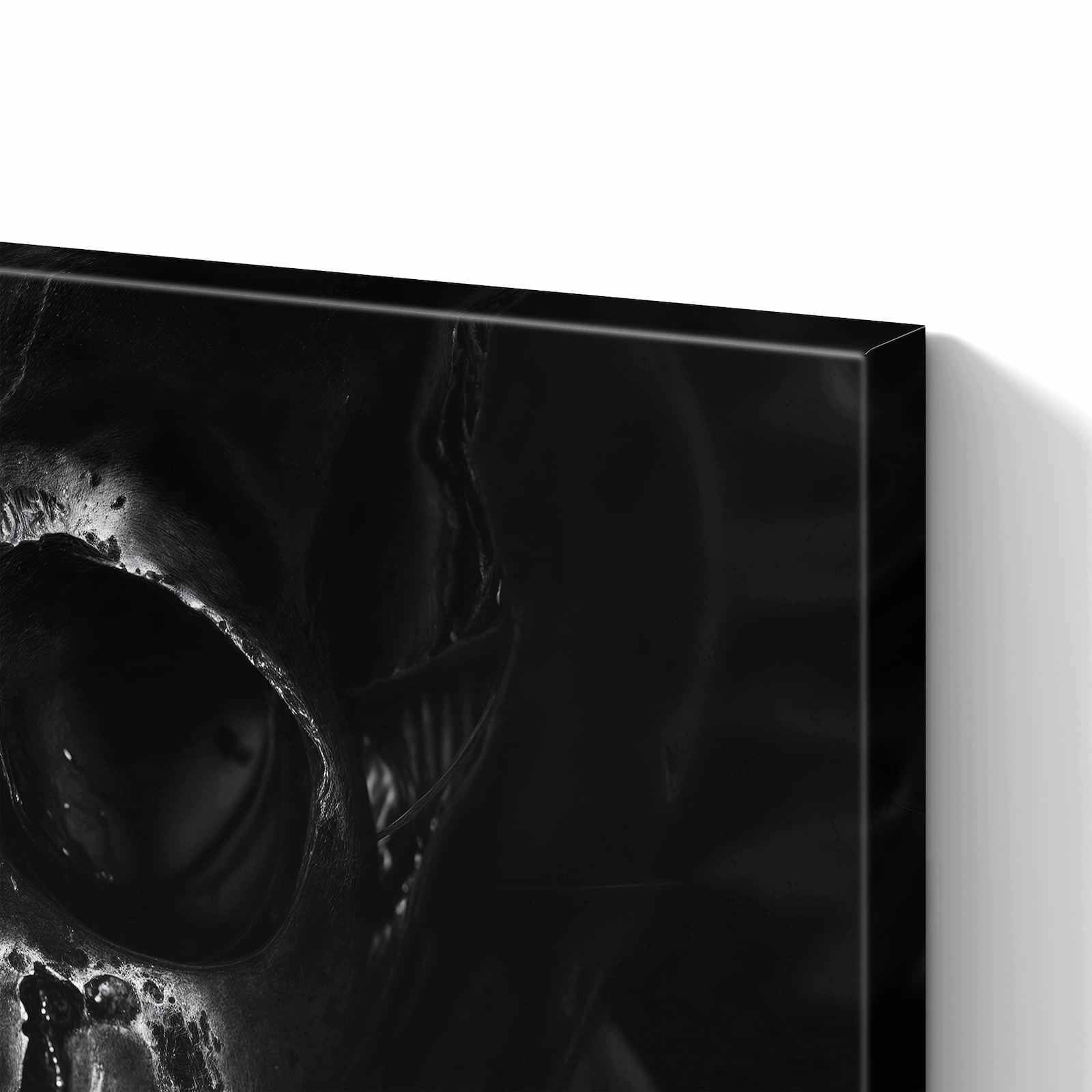 Magnetická tabule – obraz na zeď Fotografie lebky | 60 × 40 cm