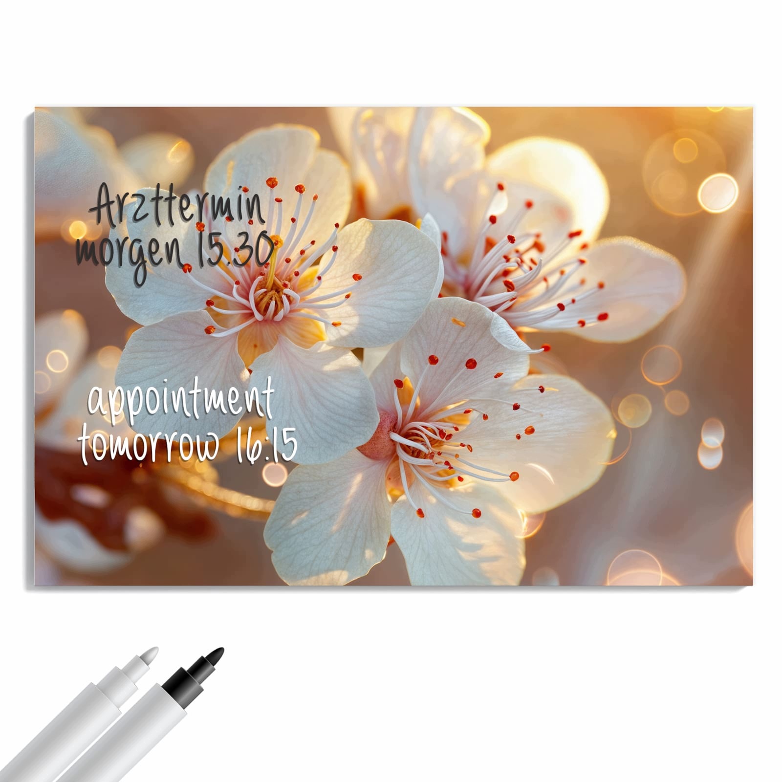 Magnetická tabule – obraz na zeď Květiny ve slunečním světle – motiv 2 | 60 × 40 cm