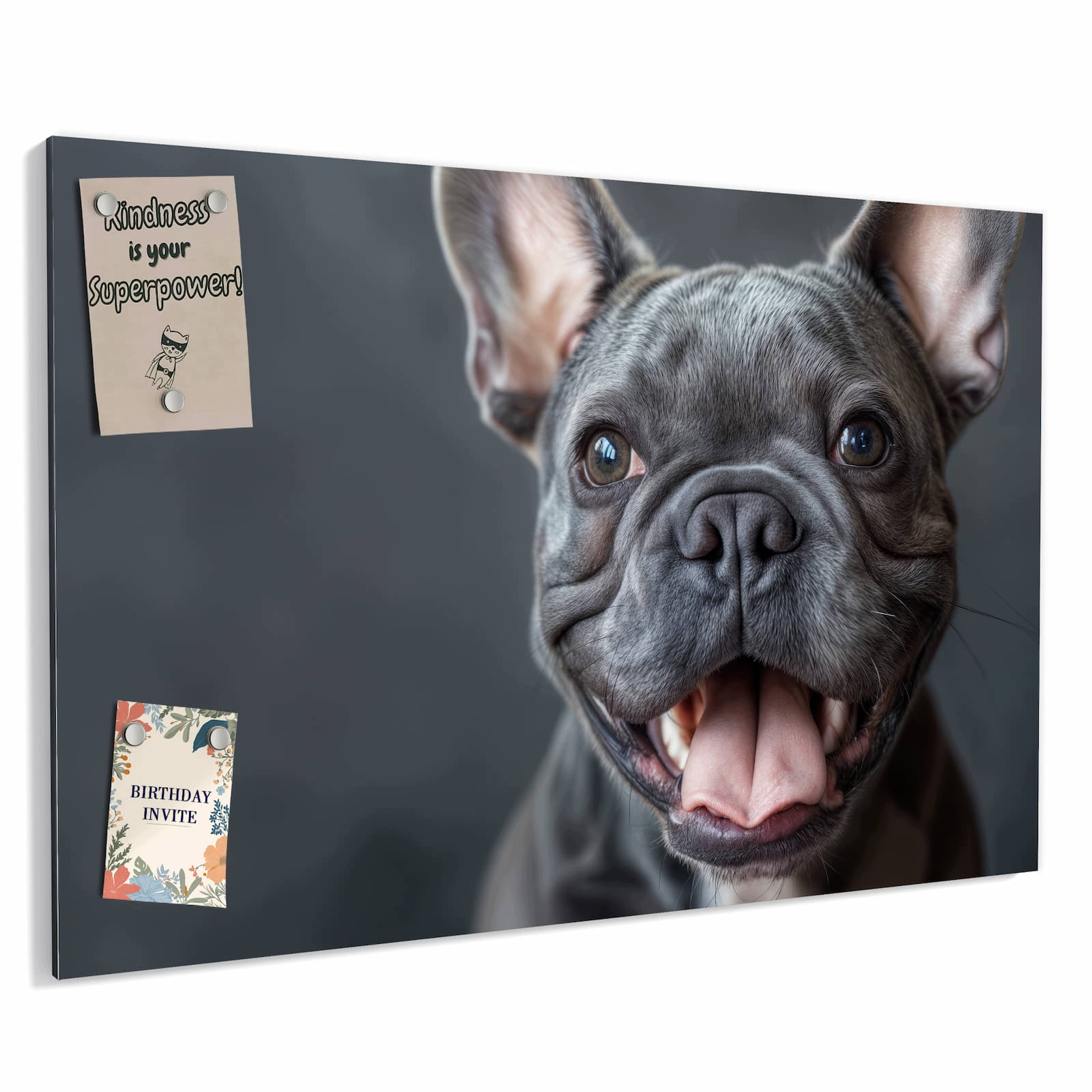Magnetická tabule – obraz na zeď Smějící se pes | 90 × 60 cm