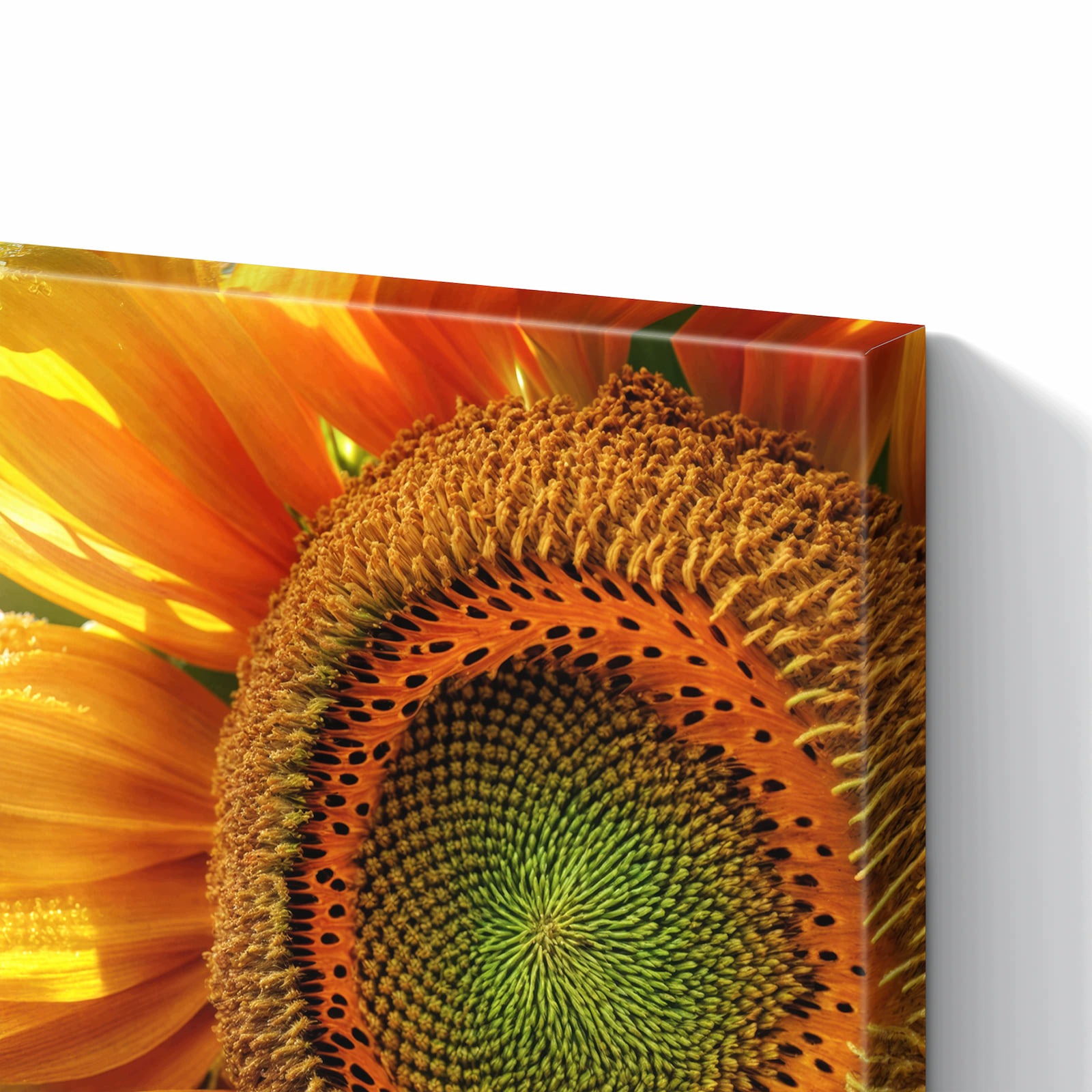 Magnetická tabule – obraz na zeď Slunečnice makro | 60 × 40 cm