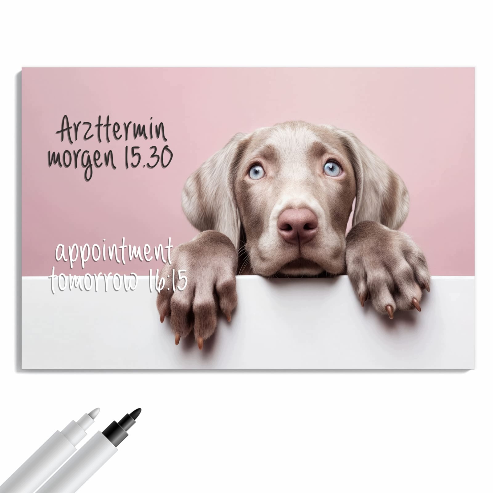 Magnetická tabule – obraz na zeď Roztomilé štěně | 90 × 60 cm