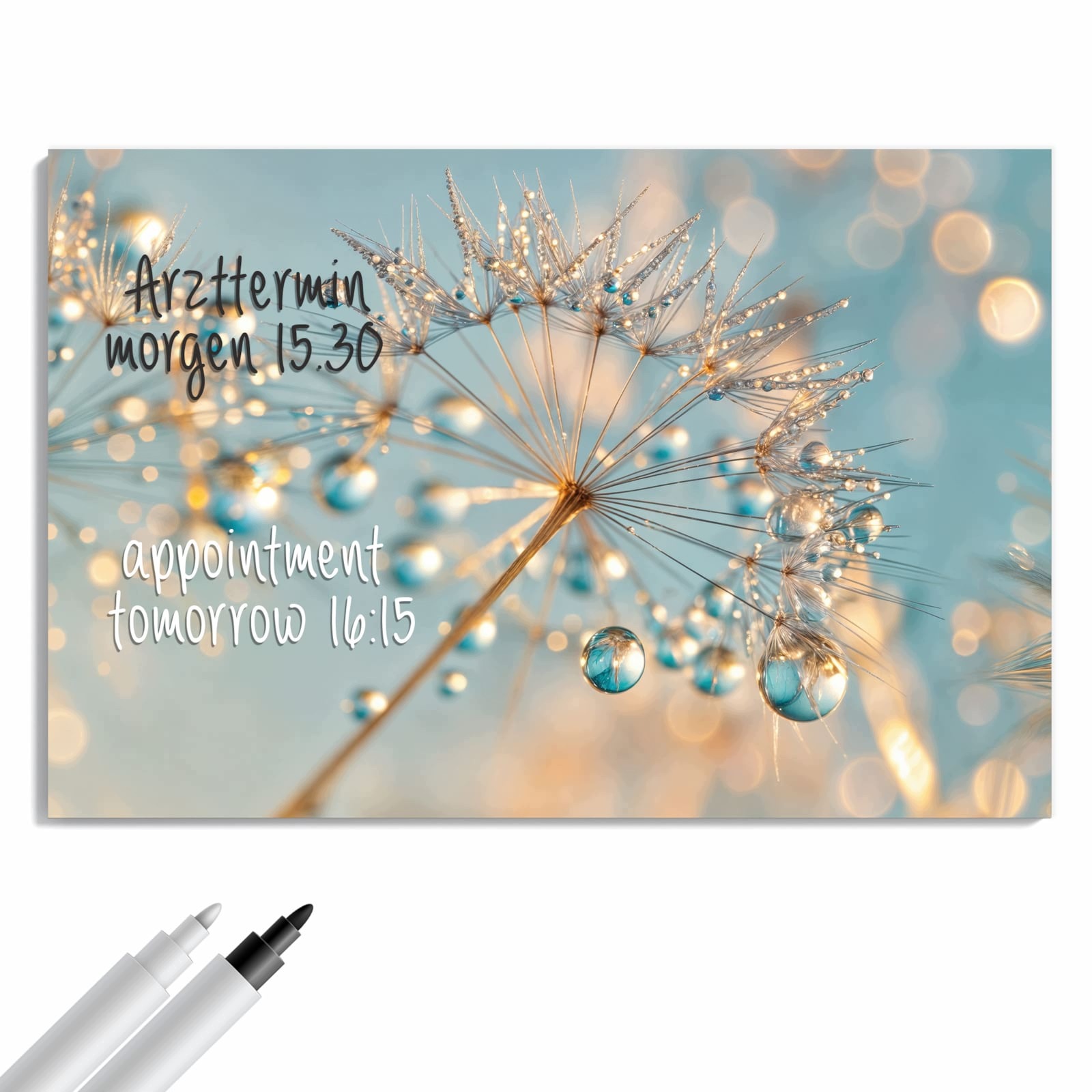 Magnetická tabule – obraz na zeď Pampeliška kapky vody | 60 × 40 cm