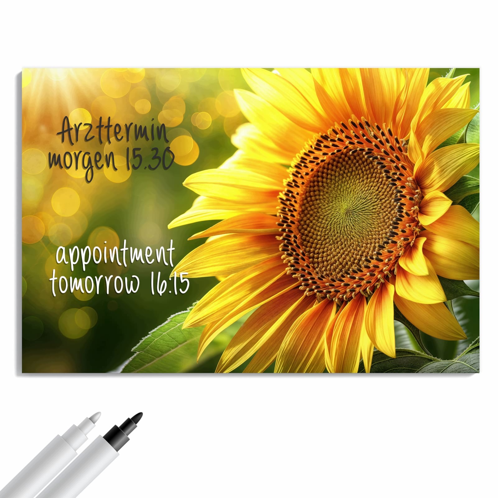 Magnetická tabule – obraz na zeď Slunečnice květina | 90 × 60 cm