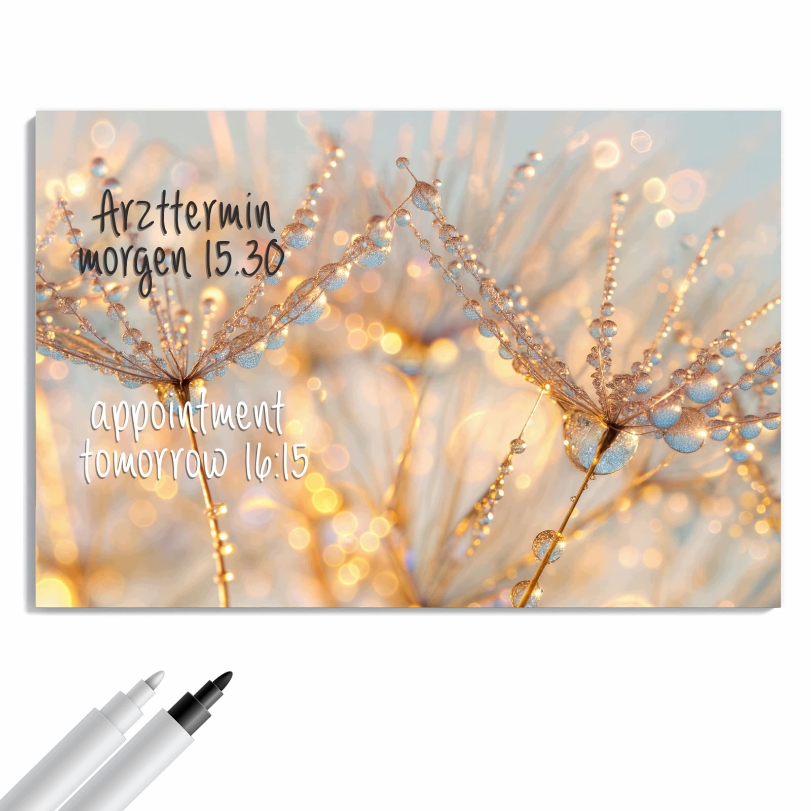 Magnetická tabule – obraz na zeď Kapky rosy panorama | 90 × 60 cm
