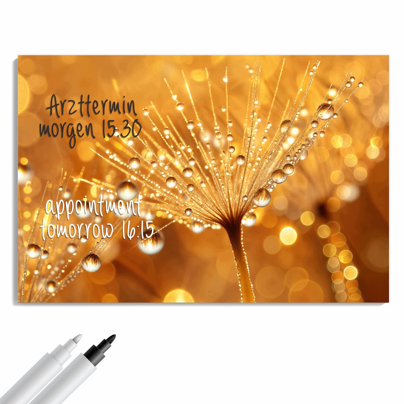 Magnetická tabule – obraz na zeď Pampeliška lékařská kapka | 60 × 40 cm