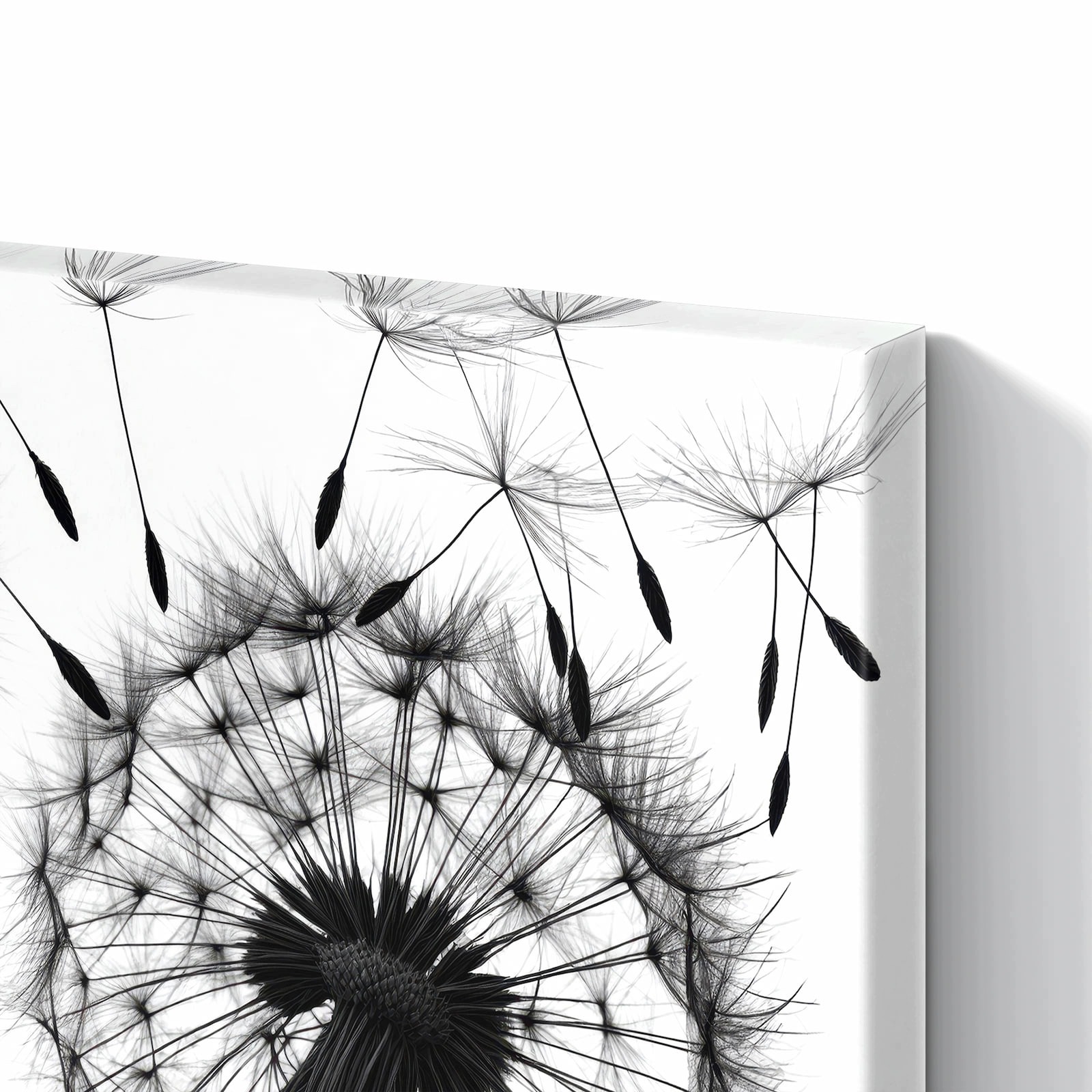 Magnetická tabule – obraz na zeď Pampelišky | 90 × 60 cm