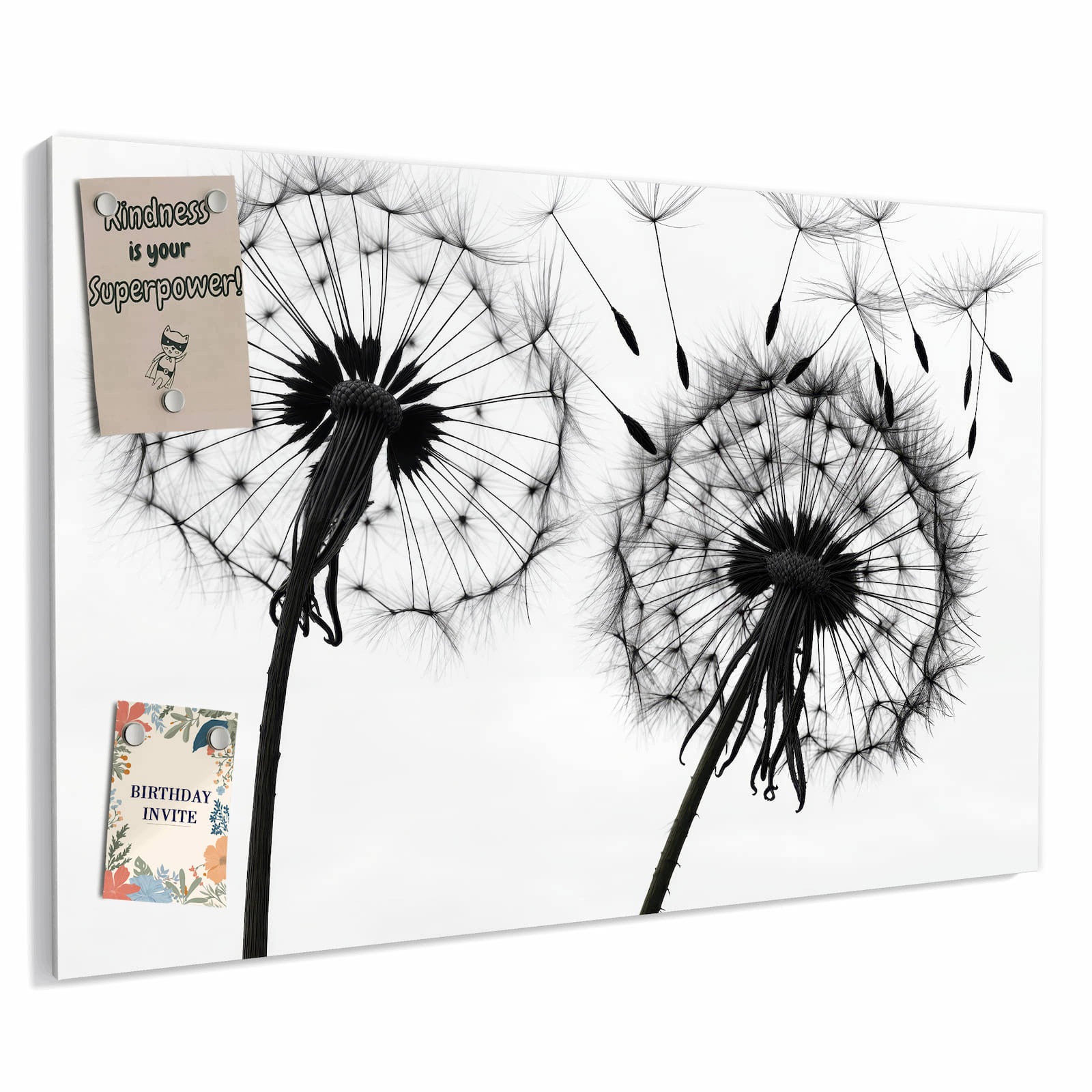 Magnetická tabule – obraz na zeď Pampelišky | 90 × 60 cm