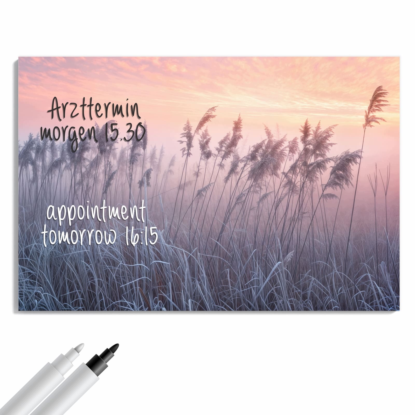 Magnetická tabule – obraz na zeď Zamlžená louka ráno | 60 × 40 cm