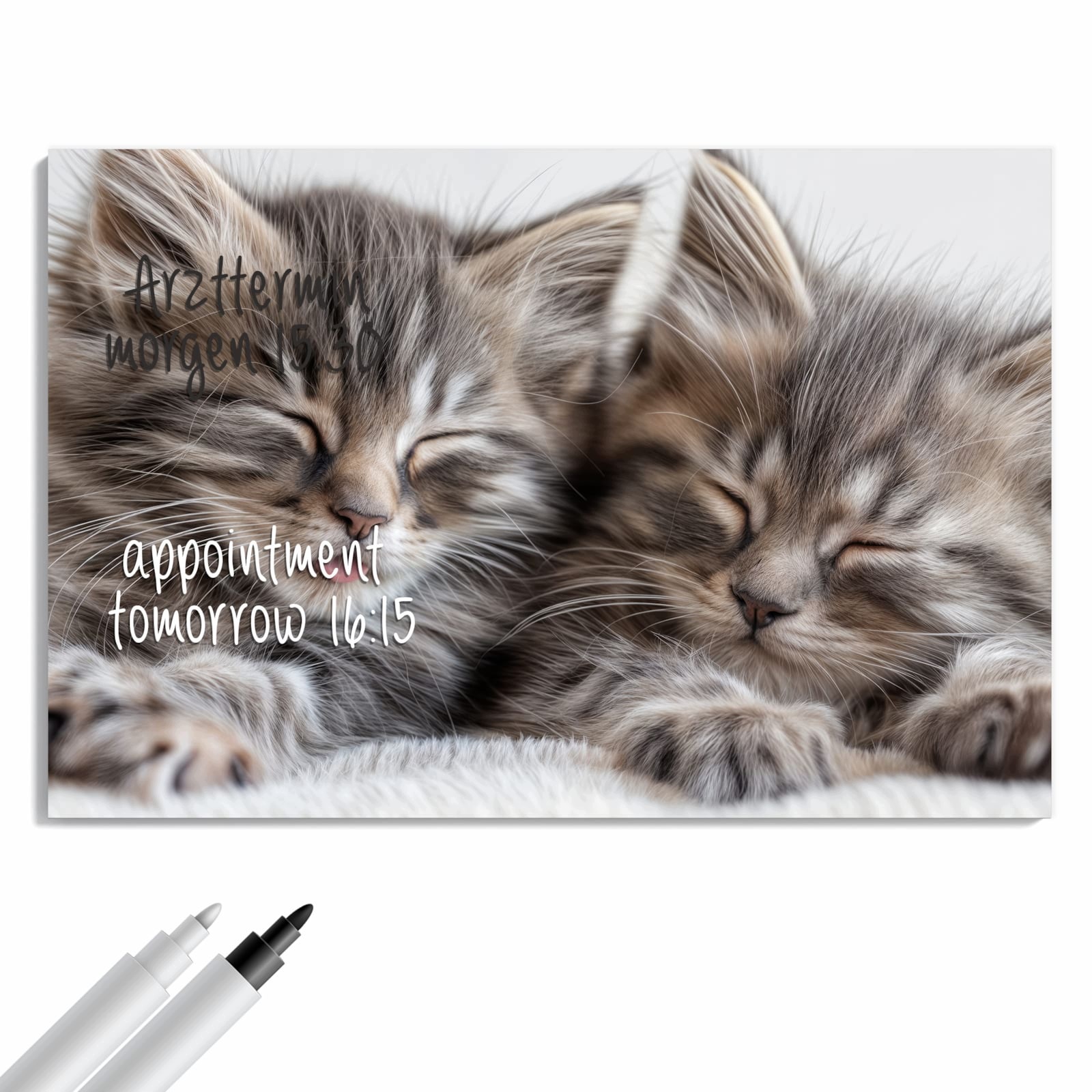 Magnetická tabule – obraz na zeď Spící koťátko | 60 × 40 cm