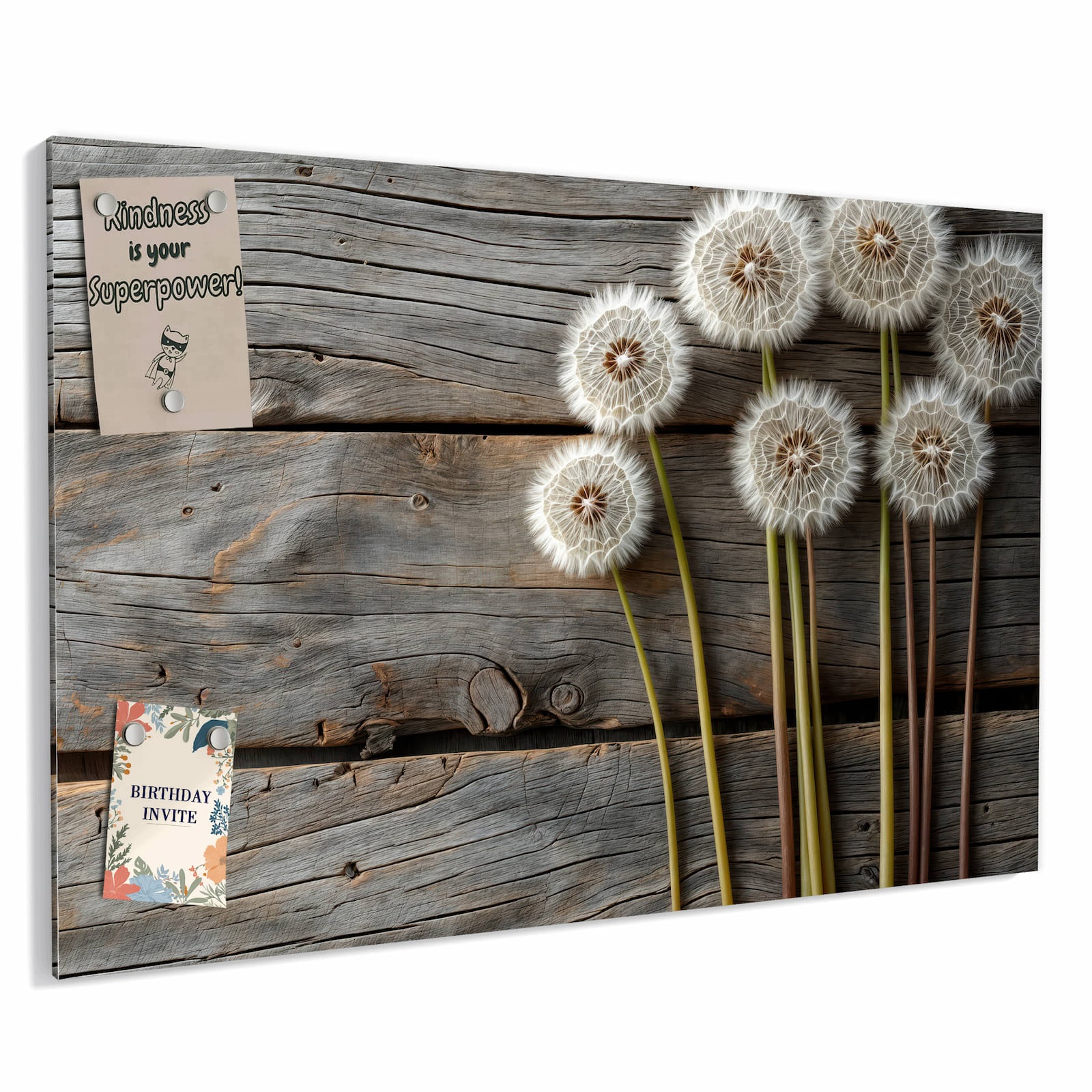 Magnetická tabule – obraz na zeď Pampelišky na dřevěném pozadí | 90 × 60 cm