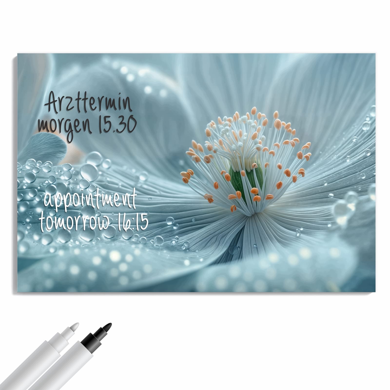 Magnetická tabule – obraz na zeď Zasněná nádhera květin | 60 × 40 cm