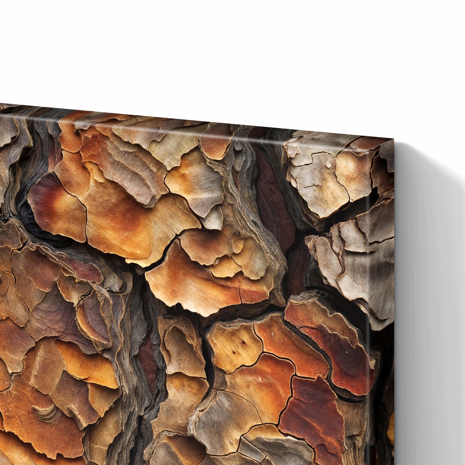 Magnetická tabule – obraz na zeď Struktura stromové kůry | 60 × 40 cm