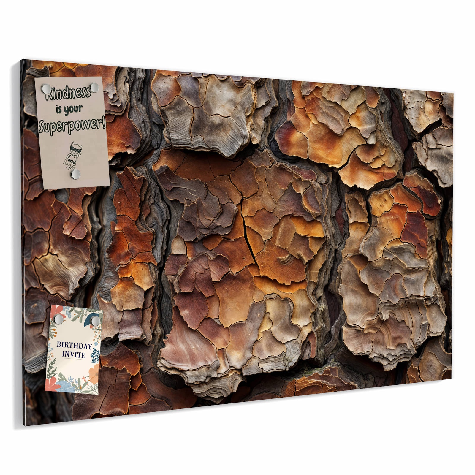 Magnetická tabule – obraz na zeď Struktura stromové kůry | 60 × 40 cm