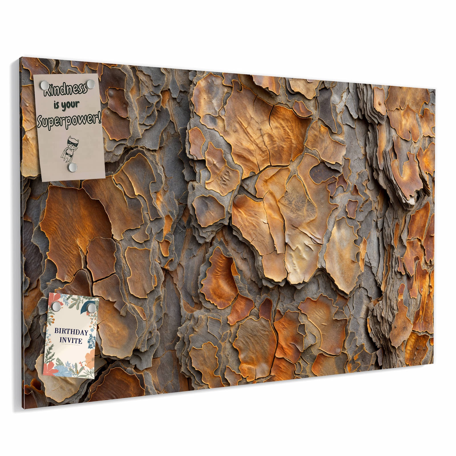 Magnetická tabule – obraz na zeď Tvary ve struktuře kůry | 60 × 40 cm