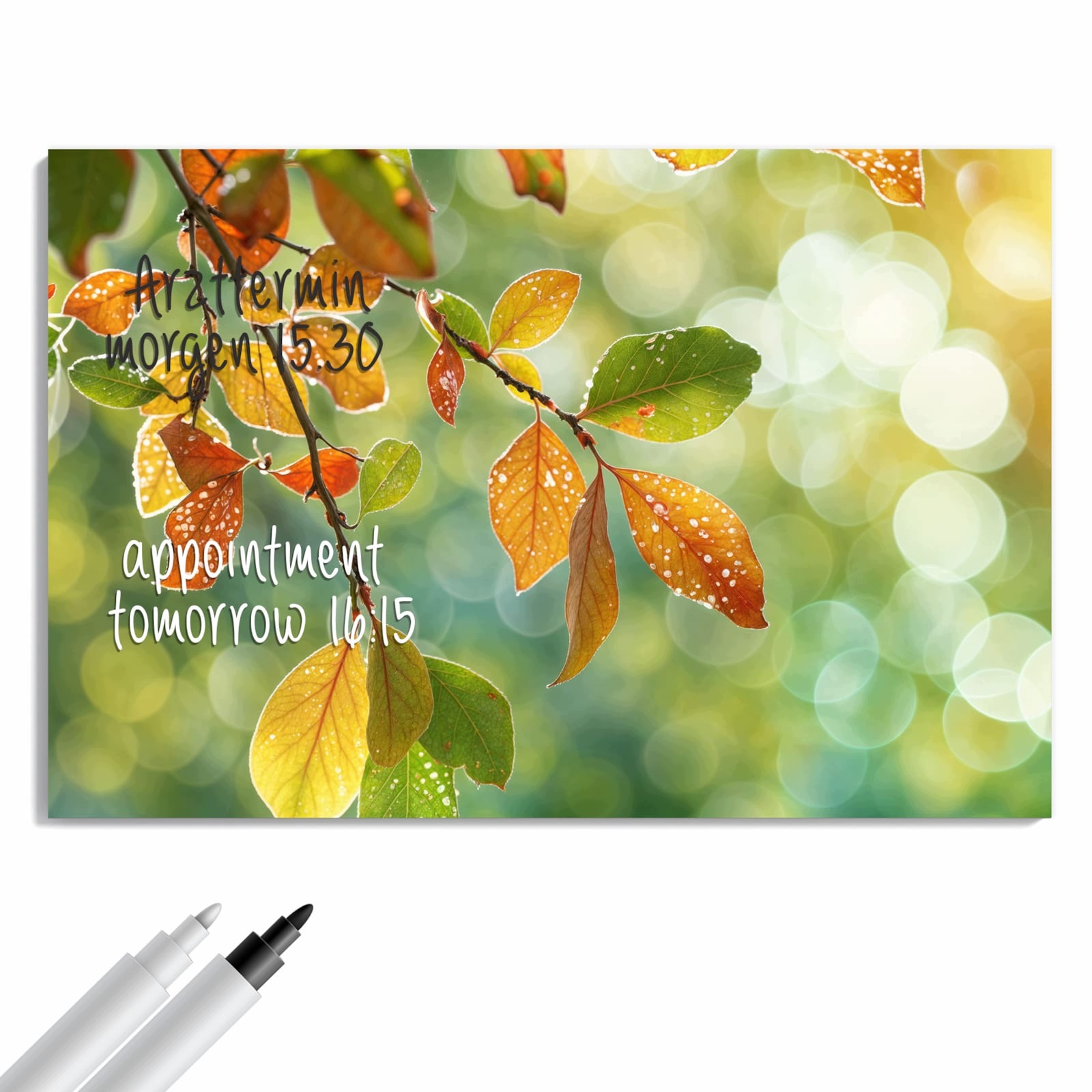 Magnetická tabule – obraz na zeď Podzimní altán – hra světel | 90 × 60 cm