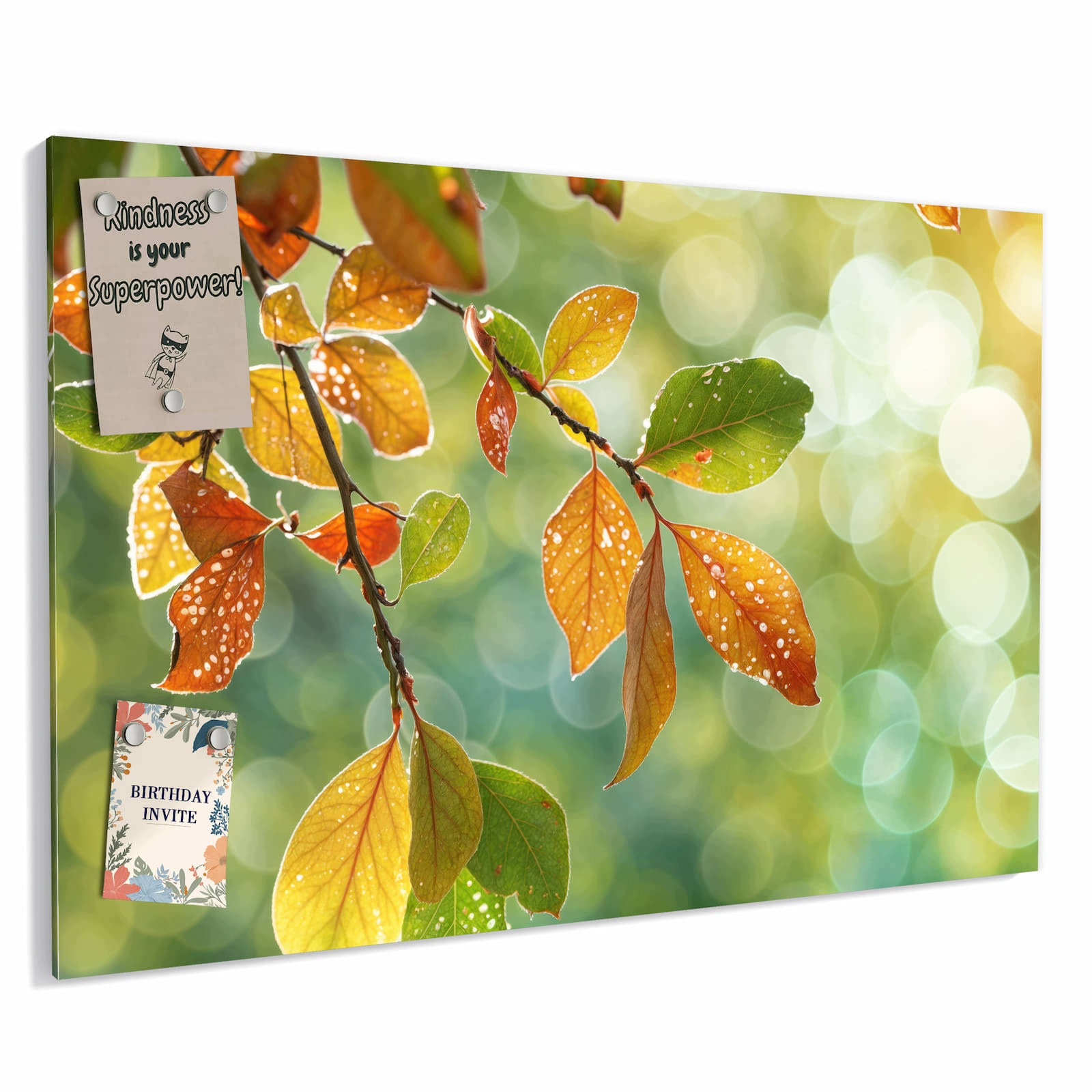 Magnetická tabule – obraz na zeď Podzimní altán – hra světel | 90 × 60 cm
